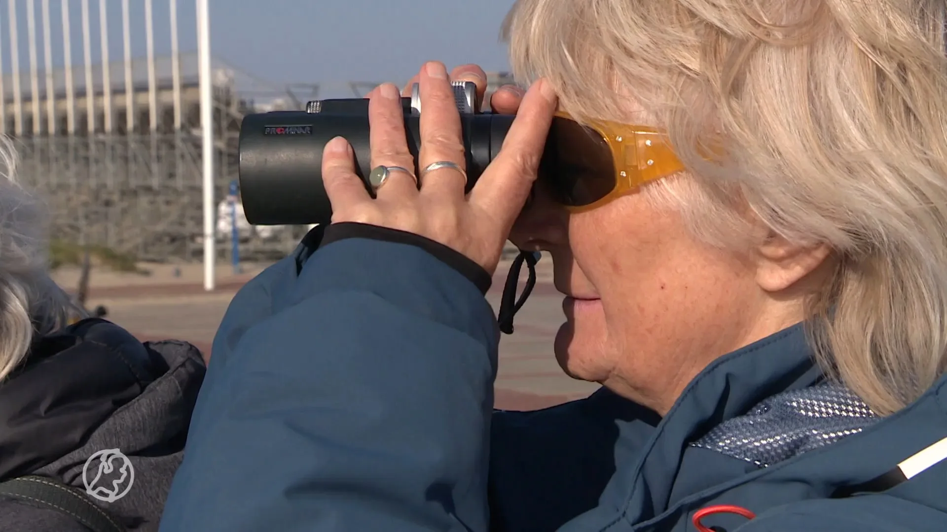 Vogelspotters massaal naar Scheveningen voor arctische meeuw