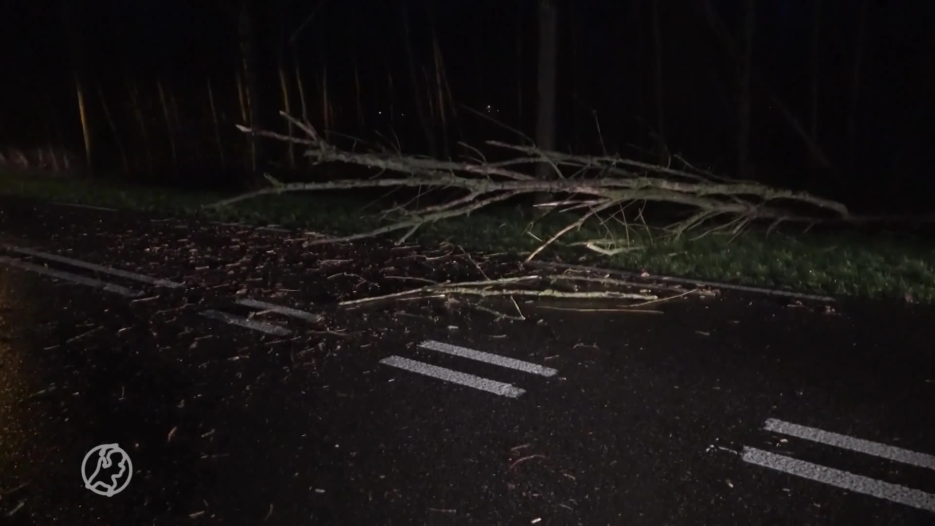 Winterstorm Bella zorgt voor schade
