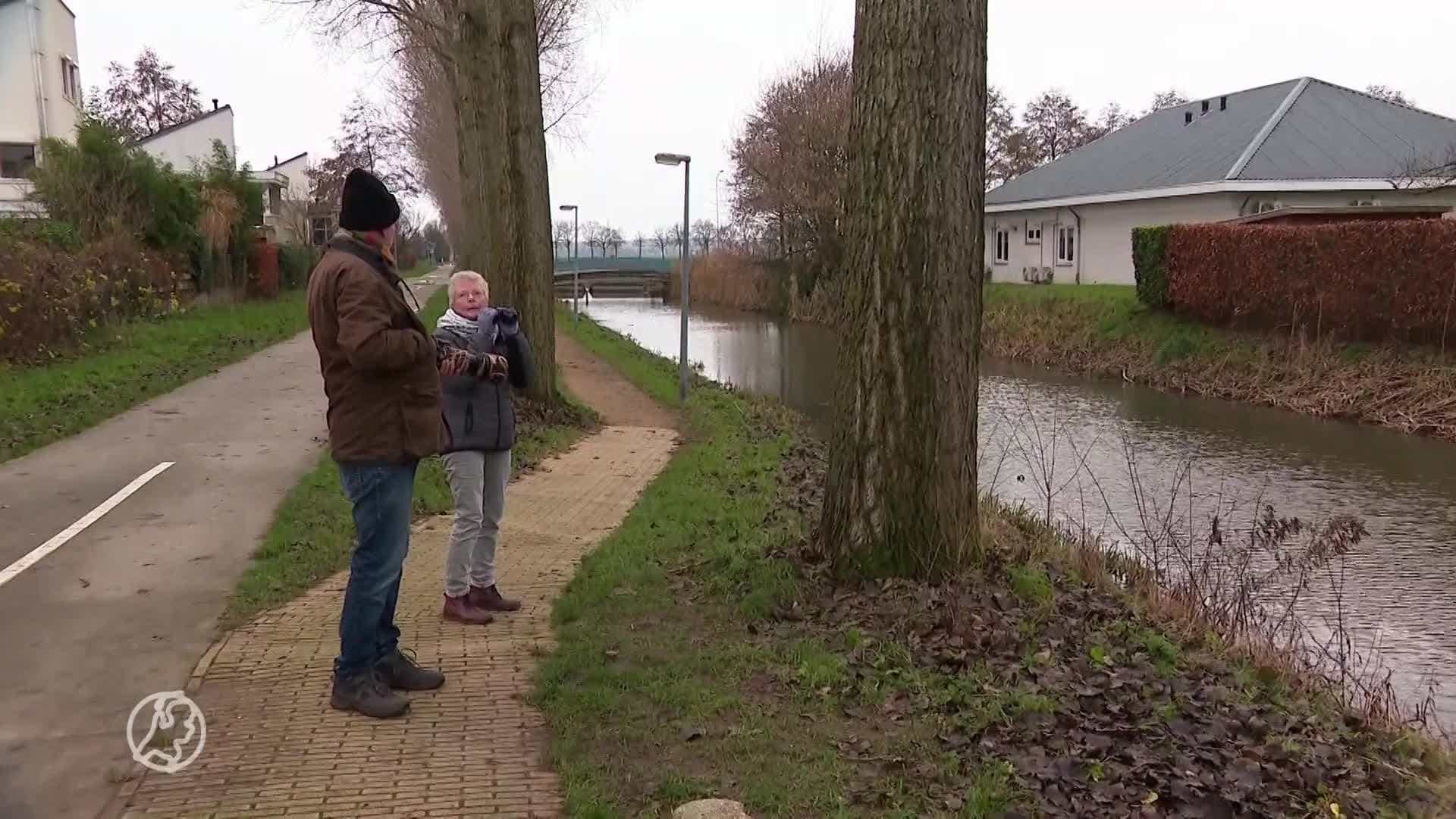 Prachtig gezicht in Wageningen: twintig ransuilen in de boom