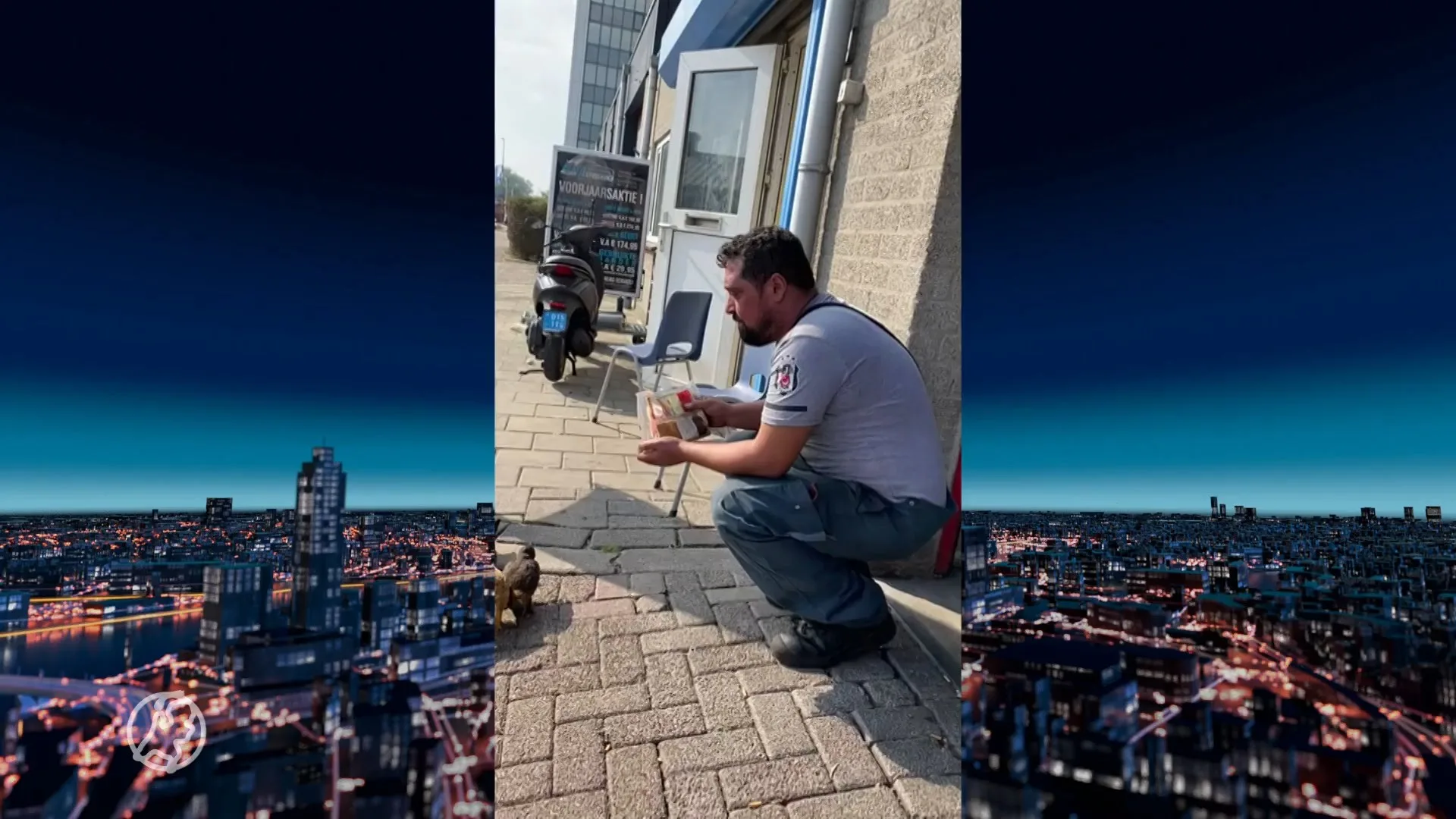 Het verhaal van Rotterdammer Hamza en zijn kippetjes