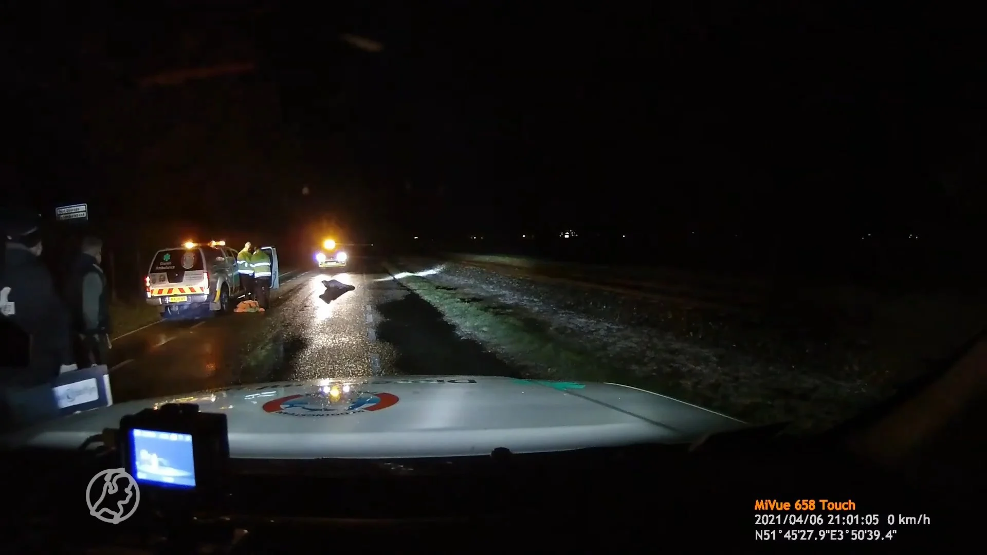 Overstekende zeehonden platgereden op Brouwersdam