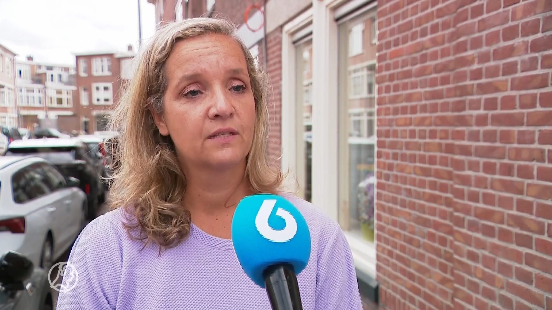 CIDI onderzoekt of er stappen mogelijk zijn tegen Hitler-vlag