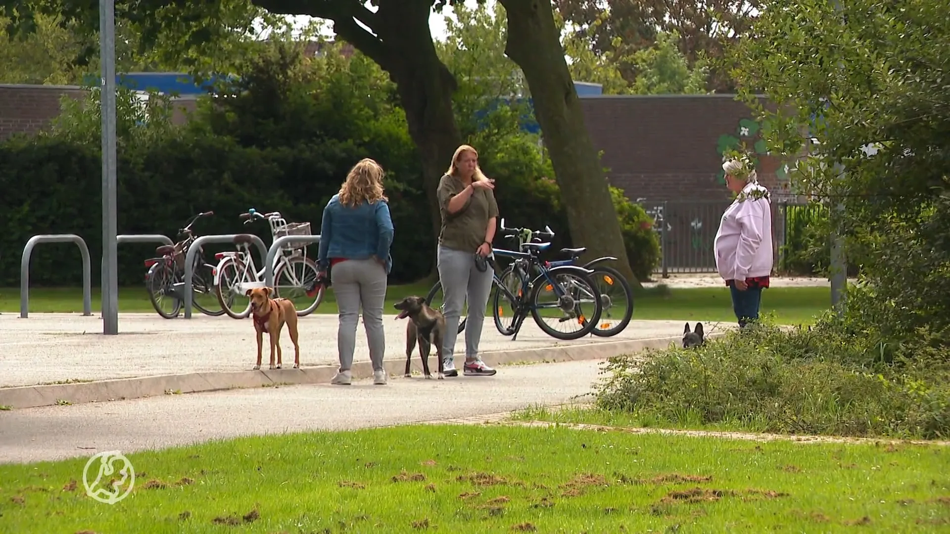 Berkel en Rodenrijs jaagt op bijtend reptiel