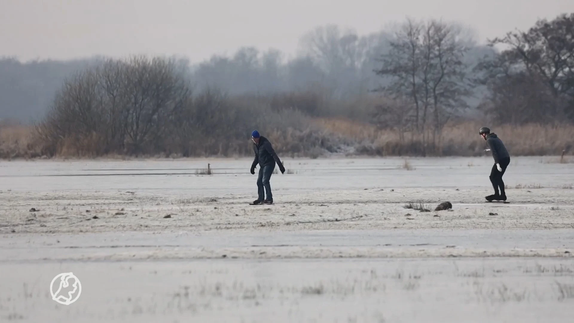 Schaatsers begeven zich op dun ijs bij Ryptsjerksterpolder: 'It kin net!'