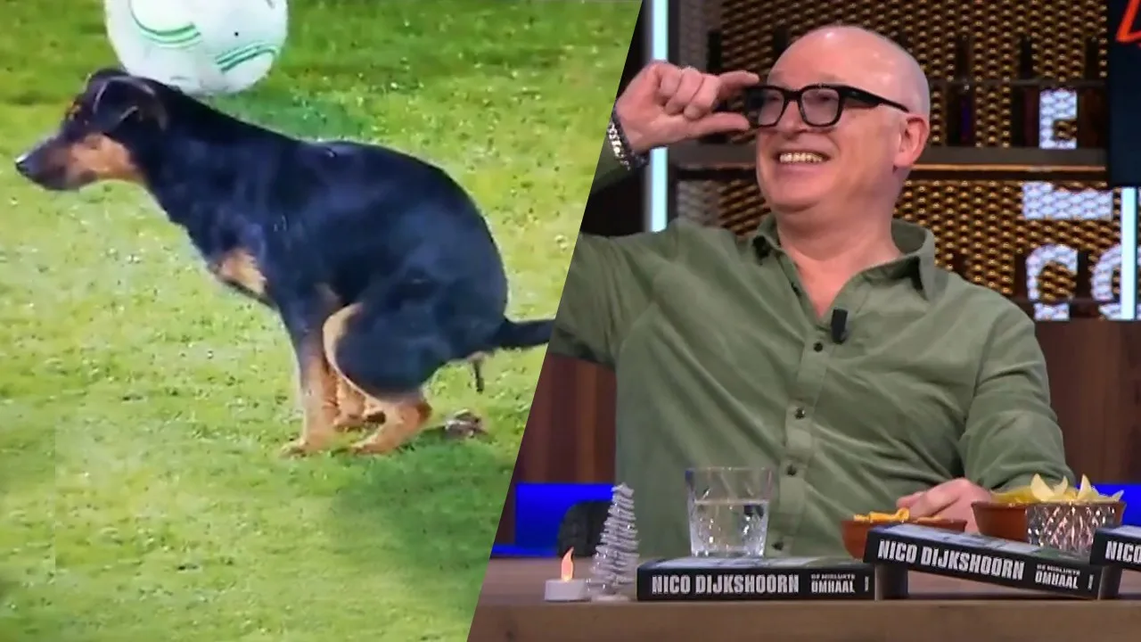 René ziet hond poepen op veld in Conference League: 'Die heeft Chinees gegeten'