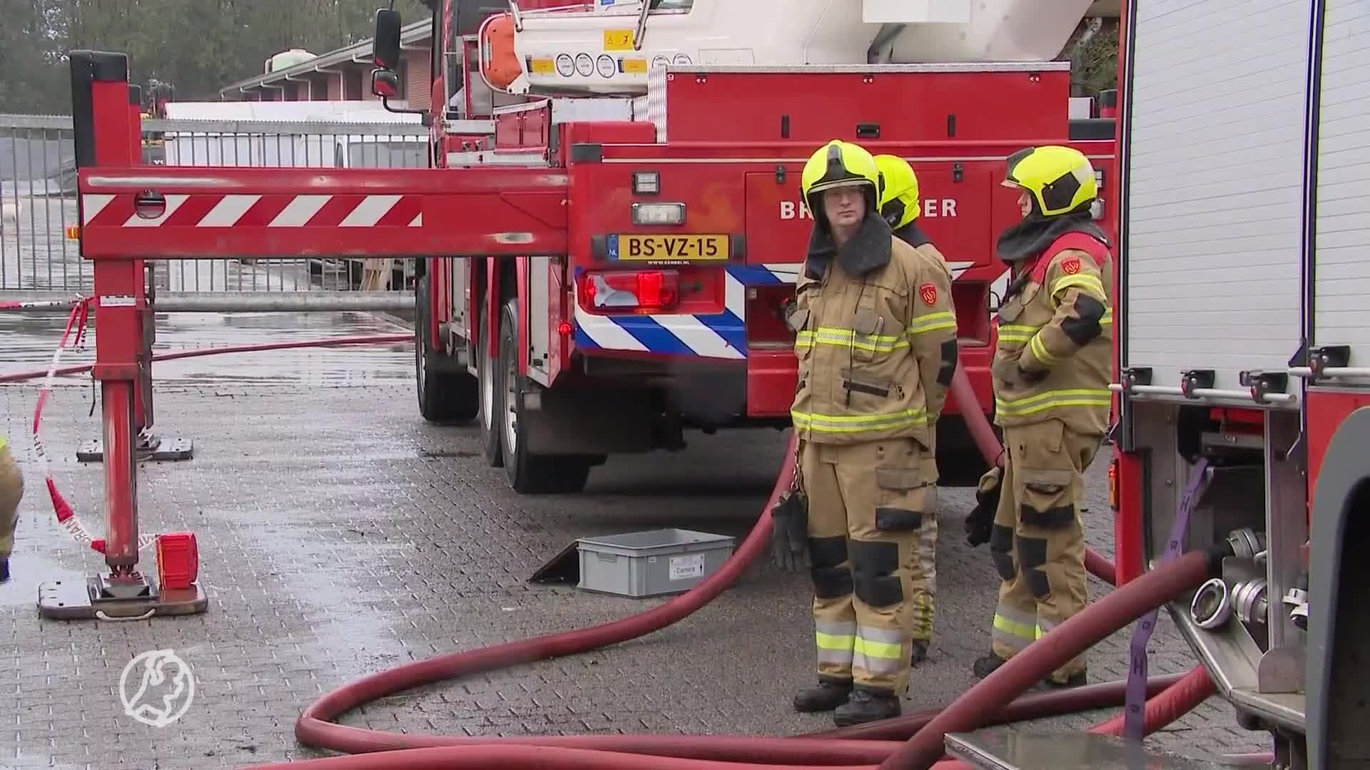 Brand in stal met duizenden geiten in Limburgse Siebengewald