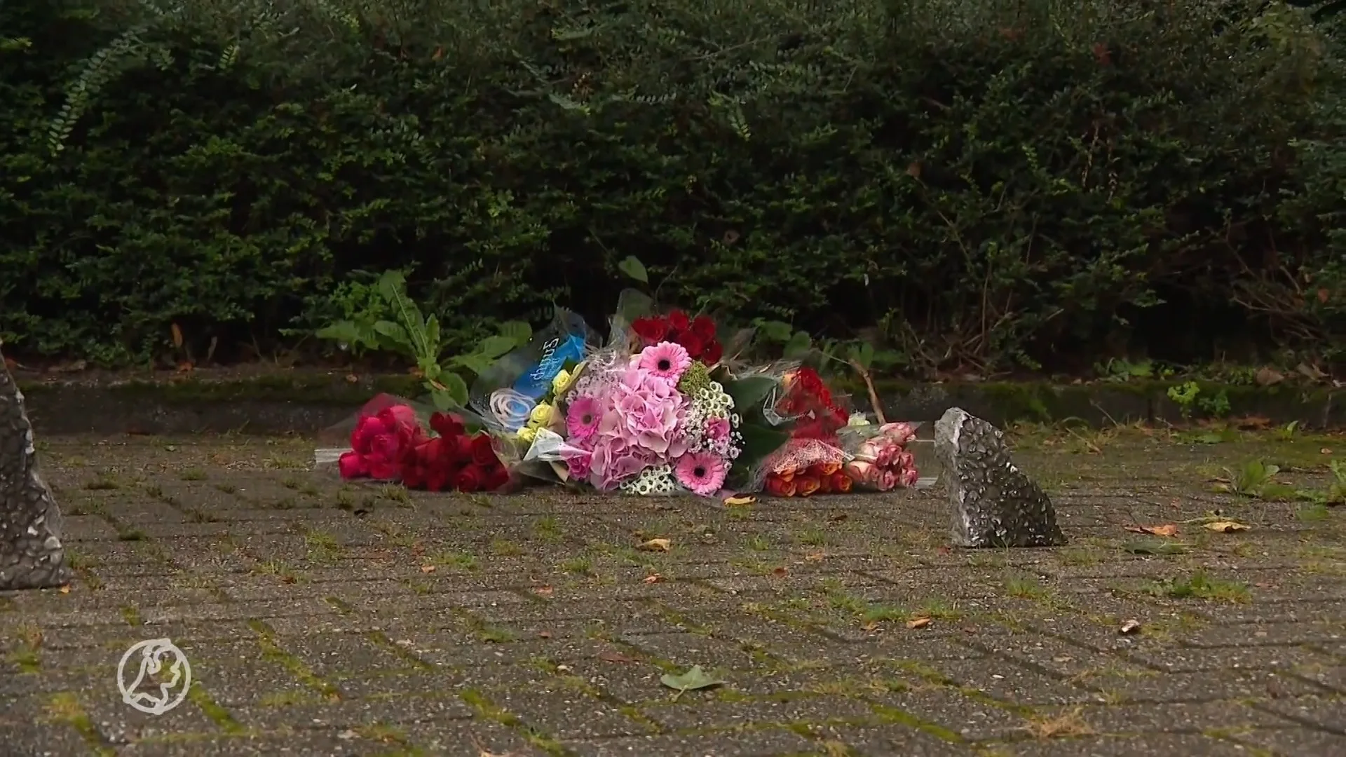 Verslagenheid in Rozenburg om tweede dodelijke slachtoffer van steekpartij in jaar tijd