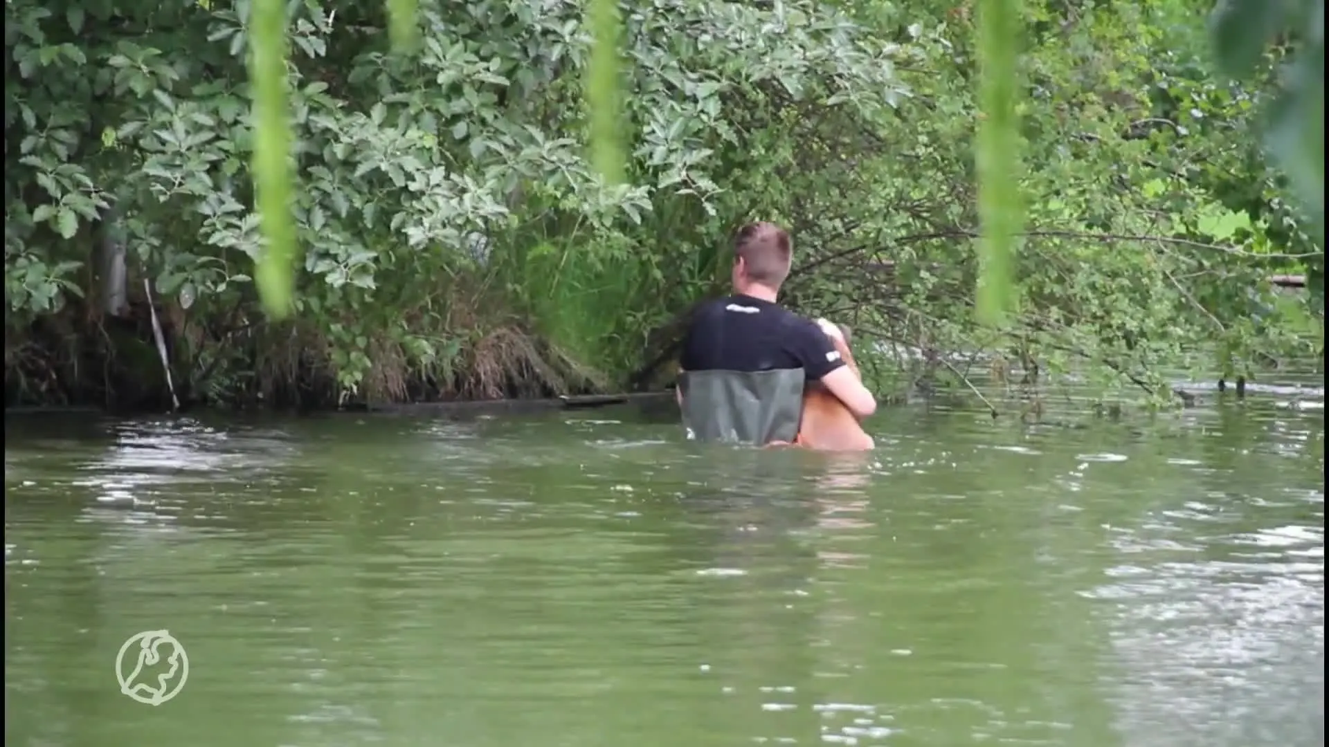 Brandweer redt hond uit water in Rijssen