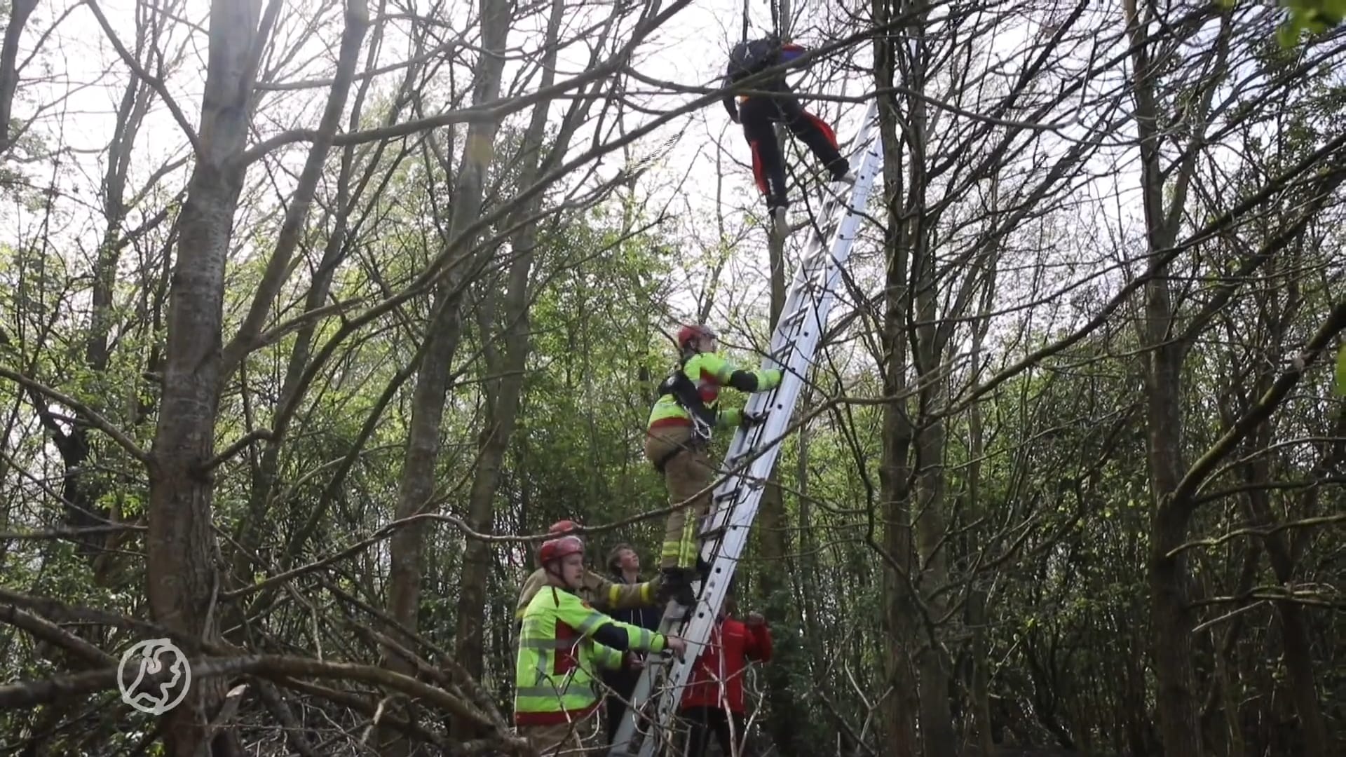 Parachutist hangt vast in boom