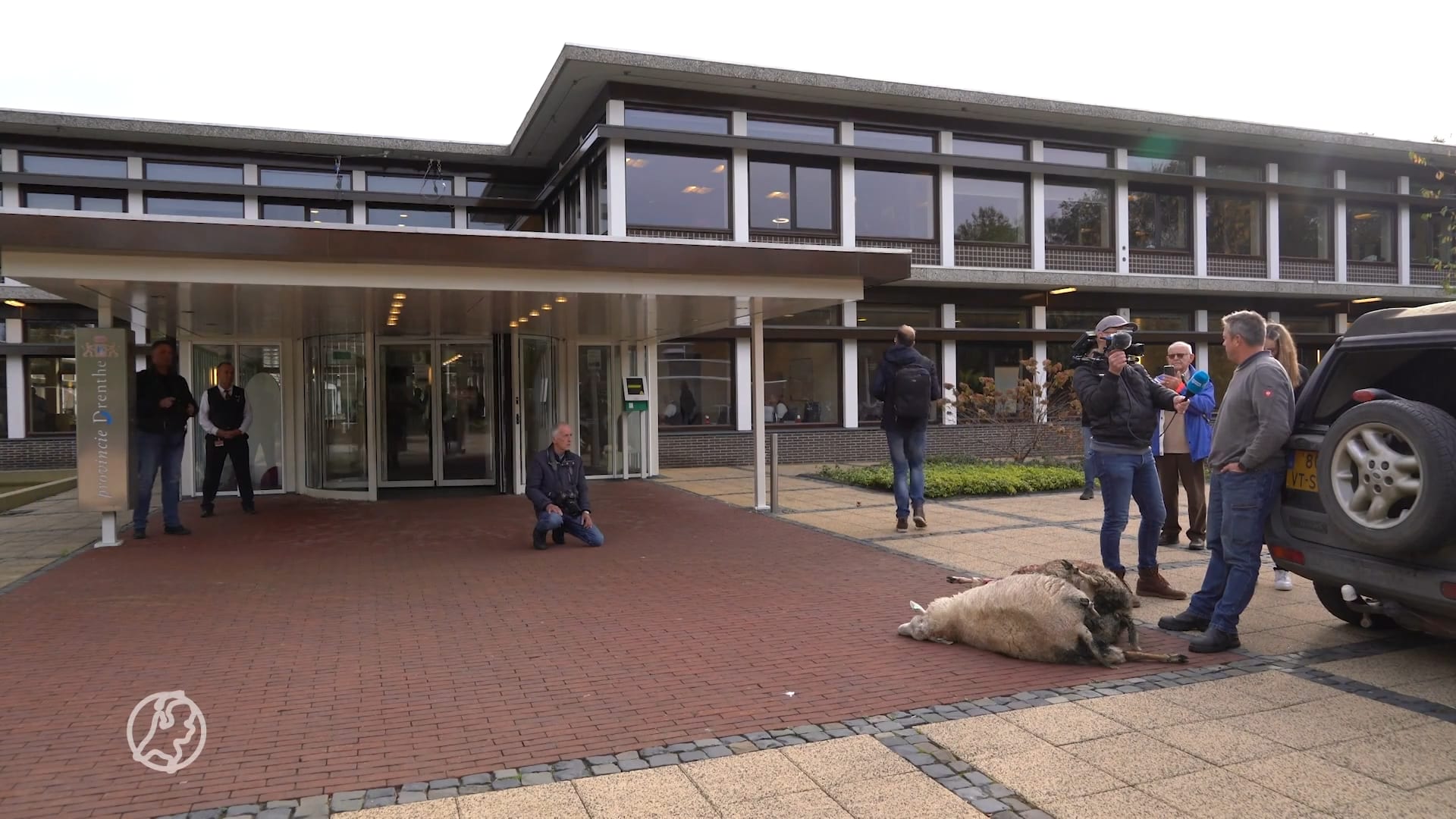 Boer legt door wolf gedode schapen voor provinciehuis: 'Dit gaat uit de klauwen lopen'