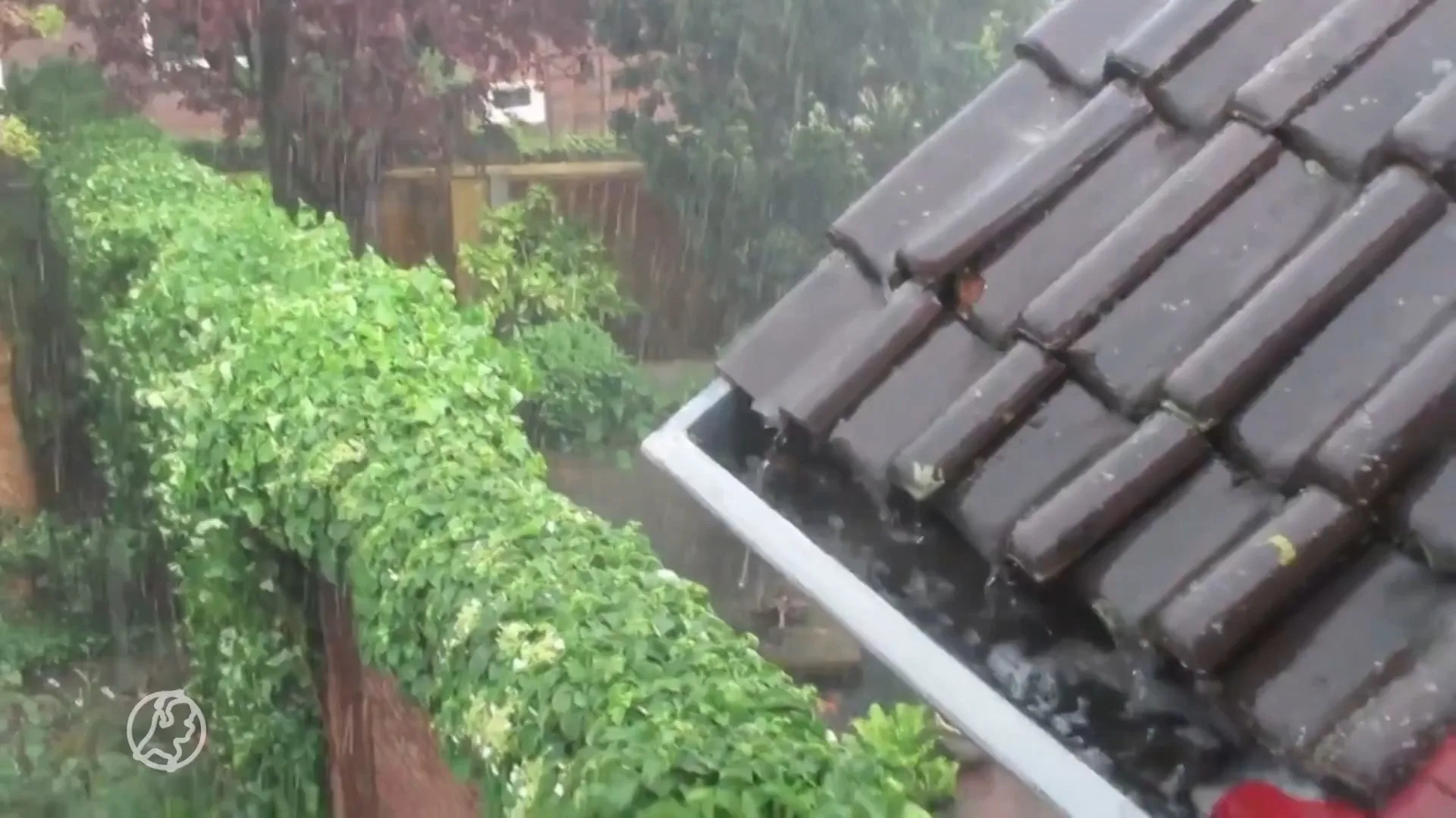 Zomerse dag eindigt in stortbuien in oostelijke helft van het...