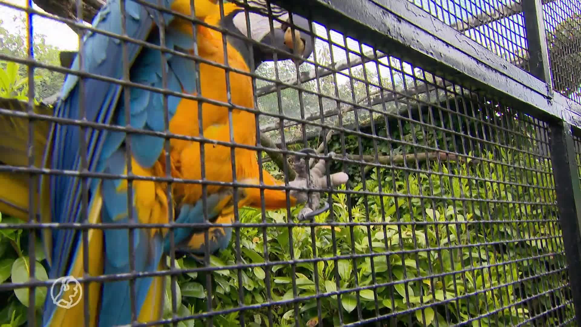 Veel attractieparken gaan open, maar nog niet allemaal: 'Je m...