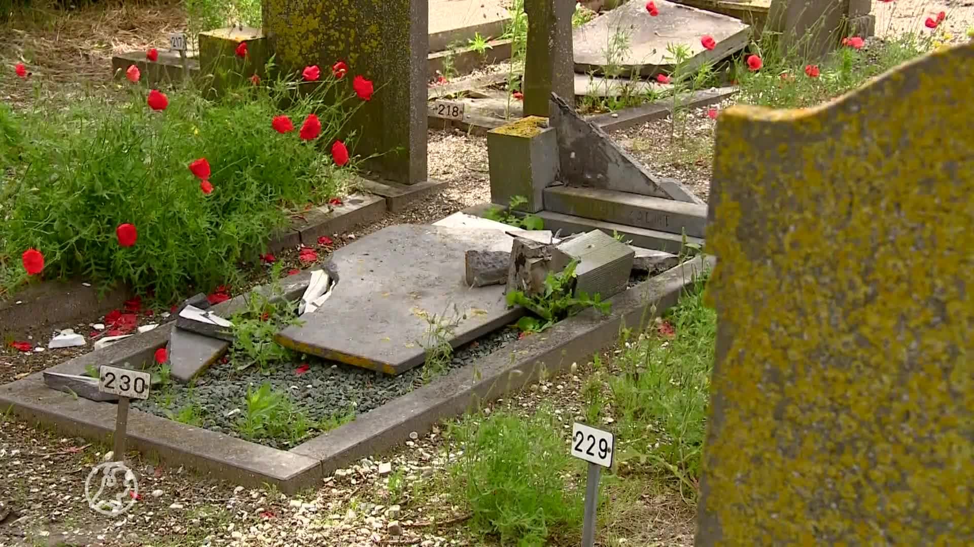 Nabestaanden ontroostbaar na vernielingen op begraafplaats 's...