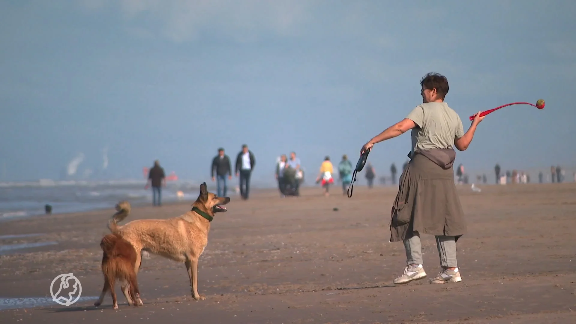 Nederland geniet volop van het nazomerse herfstweer