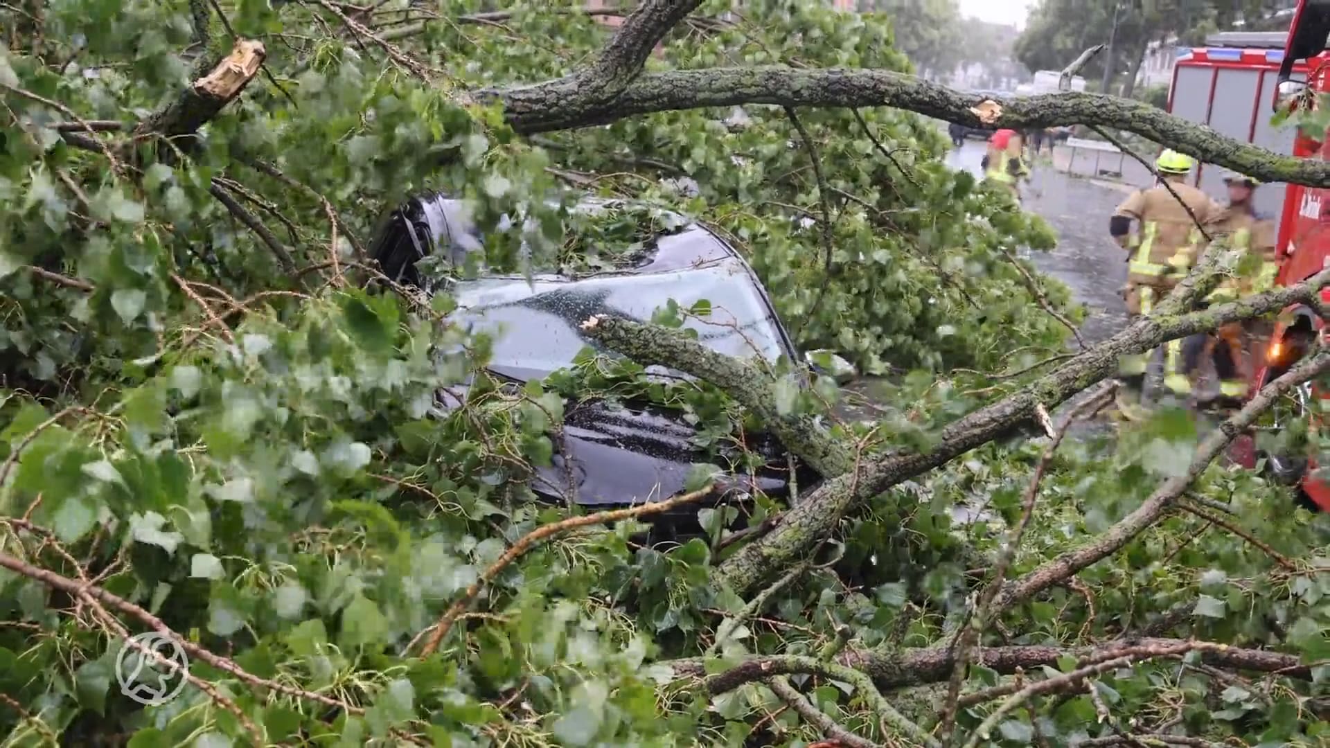 Boom valt op auto in Haarlem, slachtoffer gereanimeerd