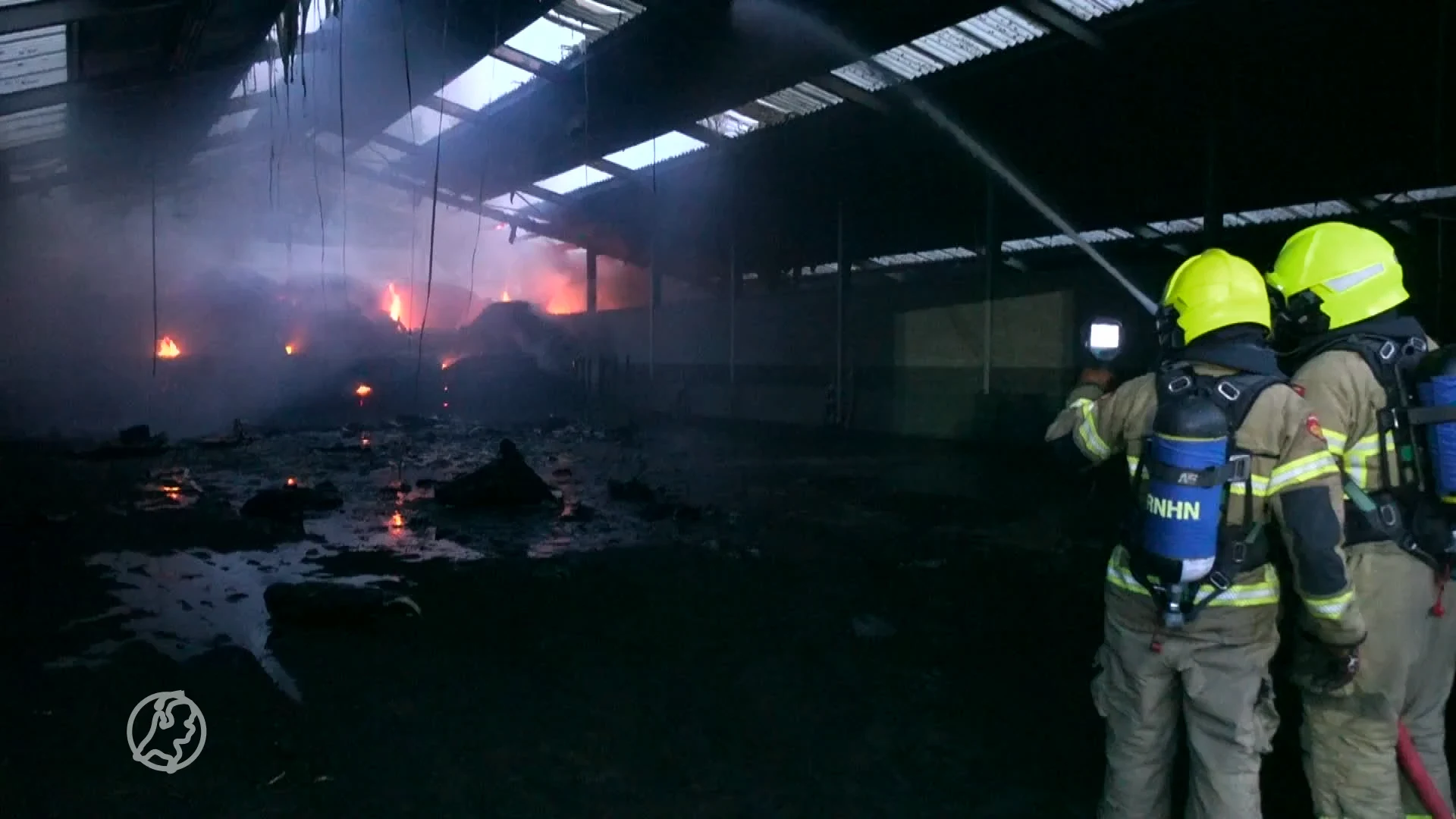 Grote brand legt hal manege in de as, meerdere dieren gewond