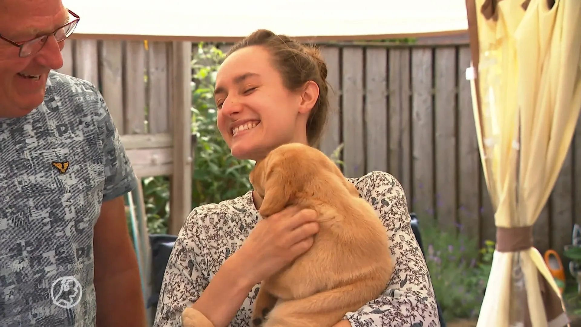 Wie wil voor een jaar een puppy in huis? Te weinig pleeggezinnen voor geleidehonden