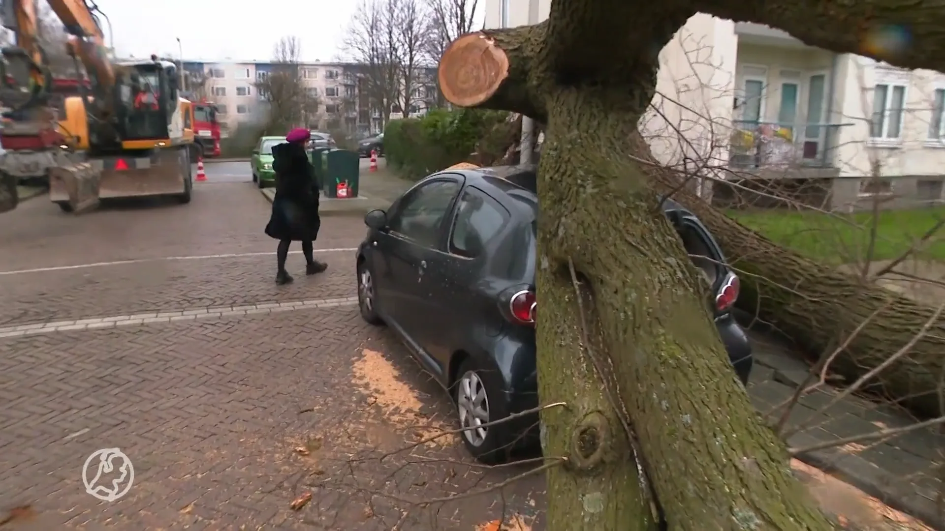 Omgewaaide bomen en dakpannen waaien van het dak, storm Corrie houdt huis