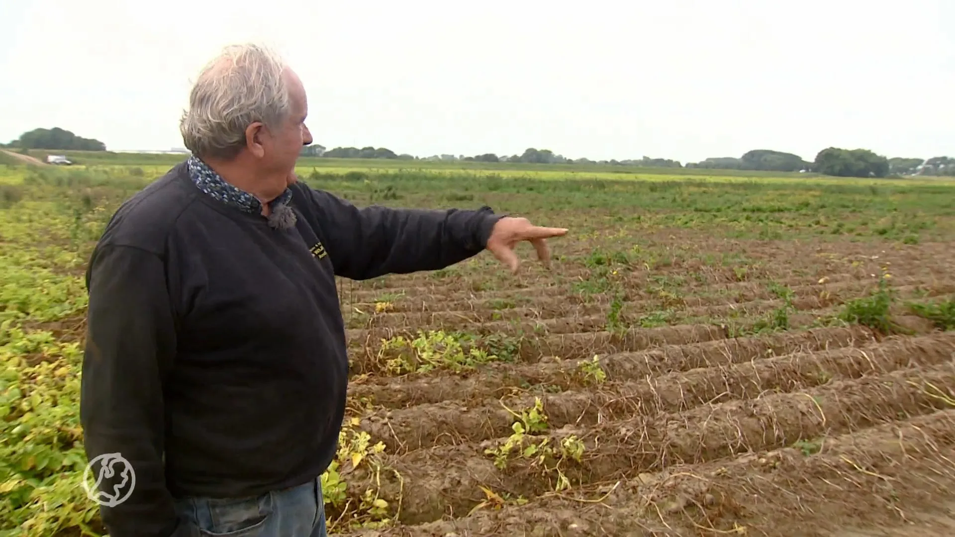 Brabantse boeren willen ook compensatie na overstromingen