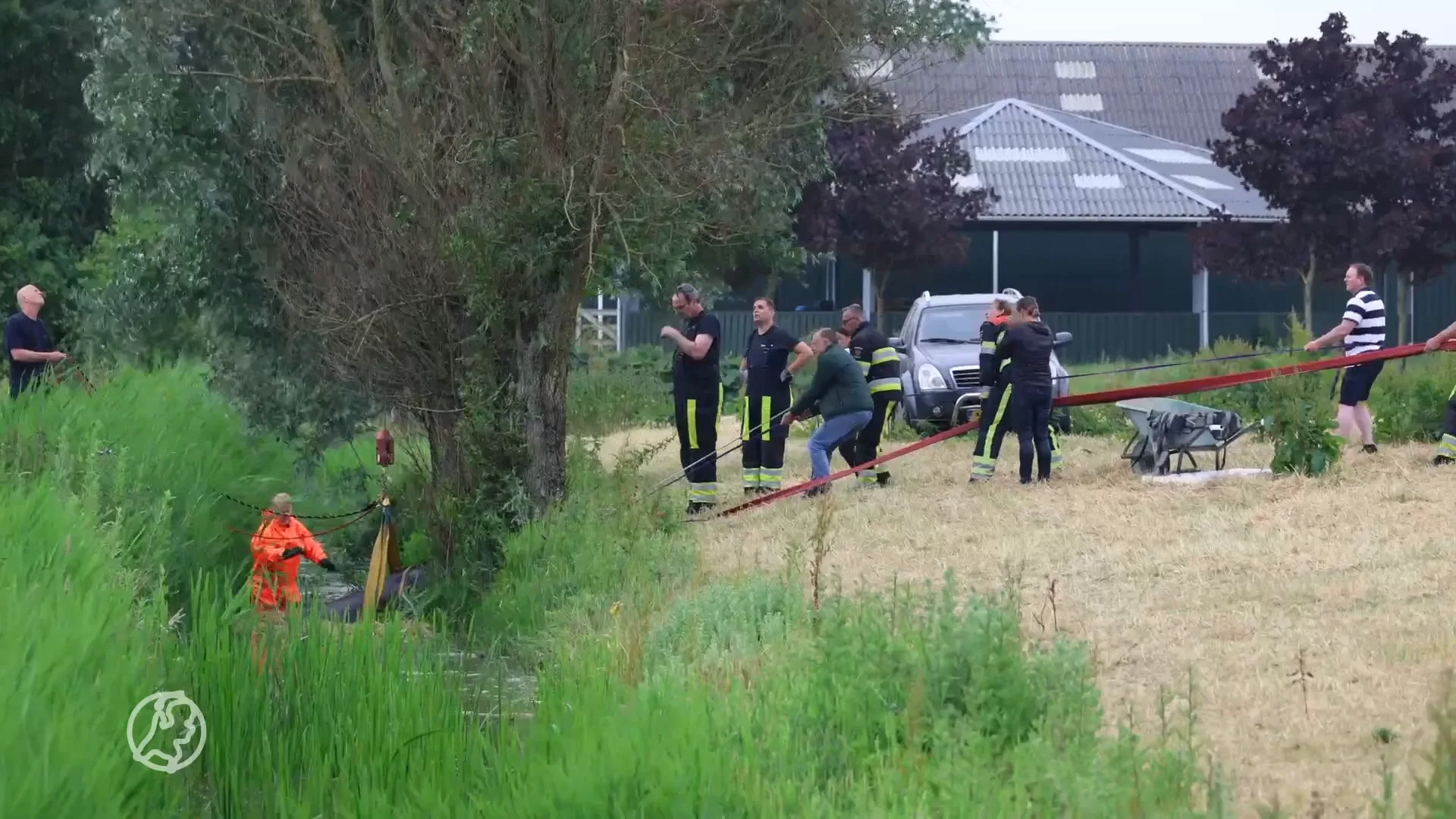 Brandweer anderhalf uur bezig om paard uit de sloot te tillen