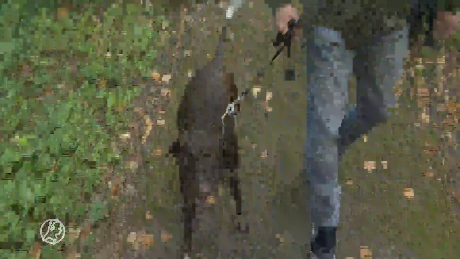 Honden moeten aan de lijn