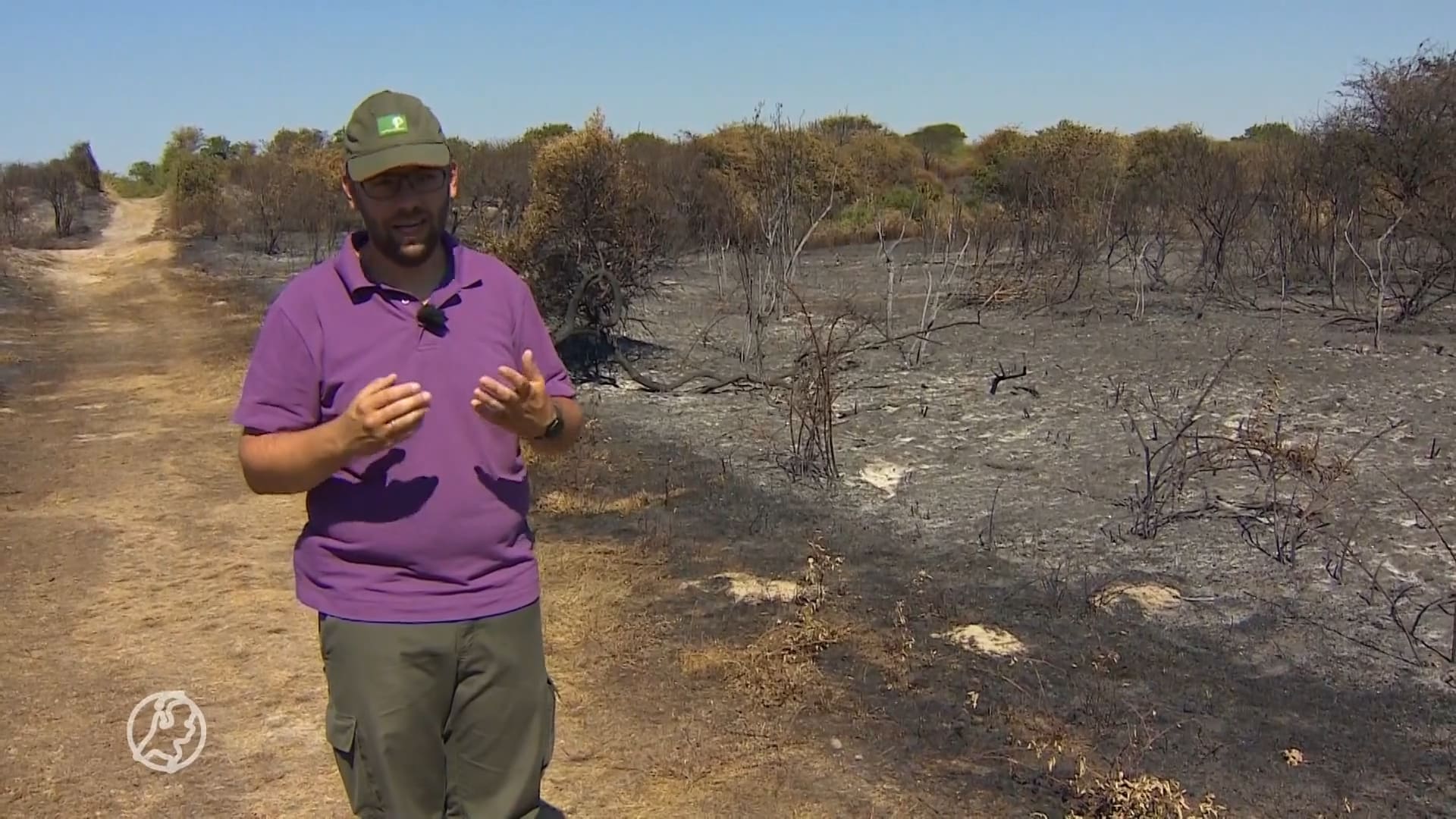Nederlandse natuurgebieden getroffen door brand: hectares in vlammen op
