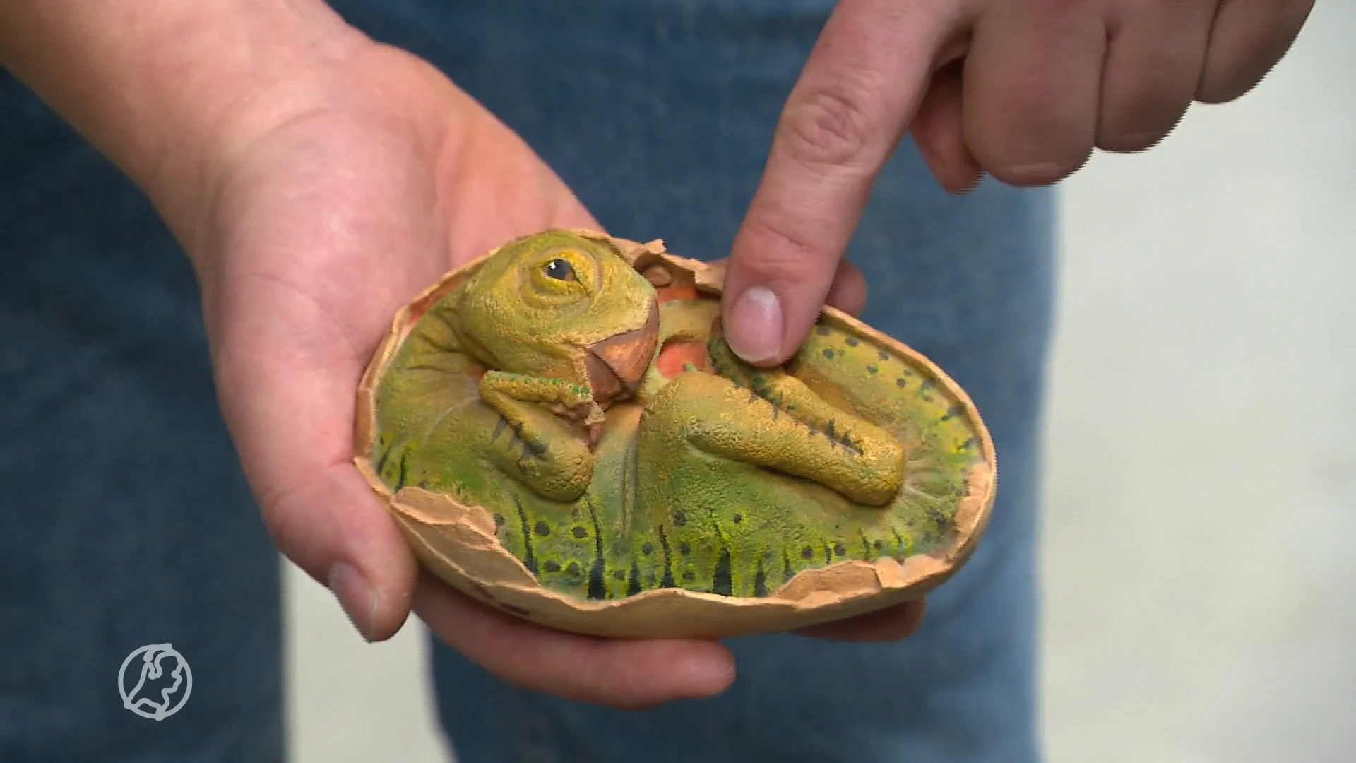 'Wereldnieuws!' Mogelijk dinosaurus-embryo gevonden in 70 miljoen jaar oud ei