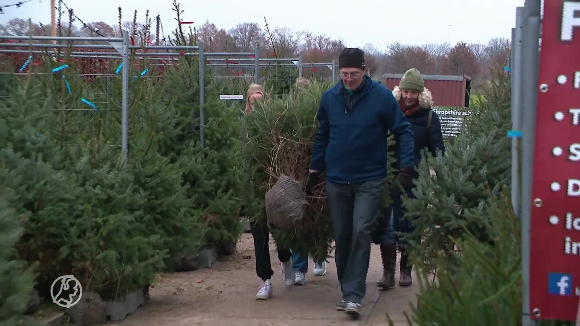 Hoort de kerstboom inmiddels bij pakjesavond? 'Rondom Sinterklaas is de drukste periode'