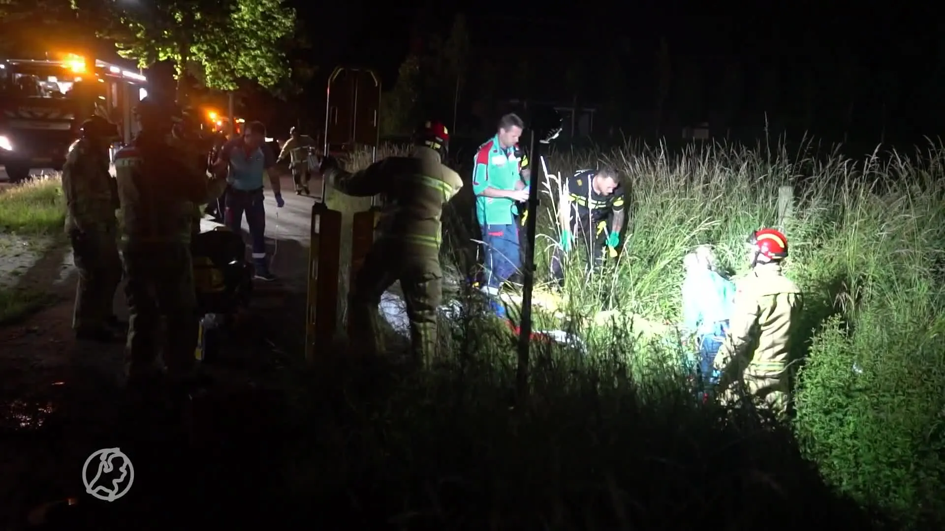 Automobilist rijdt vijf bomen uit de grond in Valkenswaard