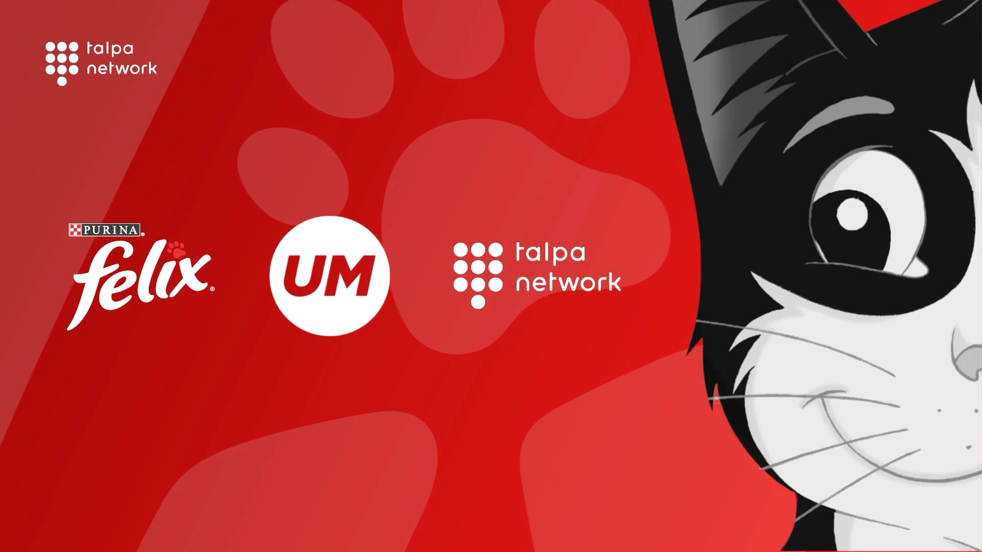 Case: Talpa x Felix | It's Great To Be A Cat