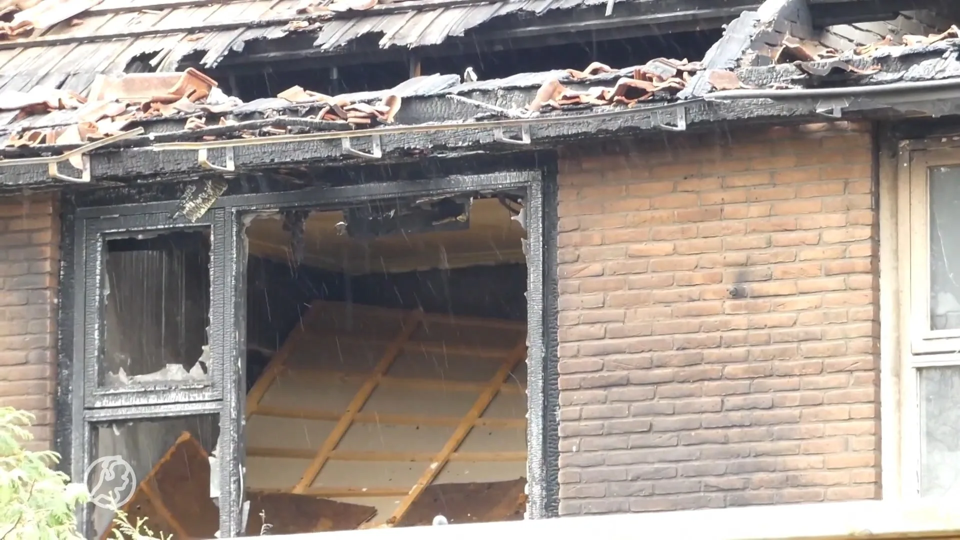 Kat weet op miraculeuze wijze verwoestende woningbrand Enschede te overleven