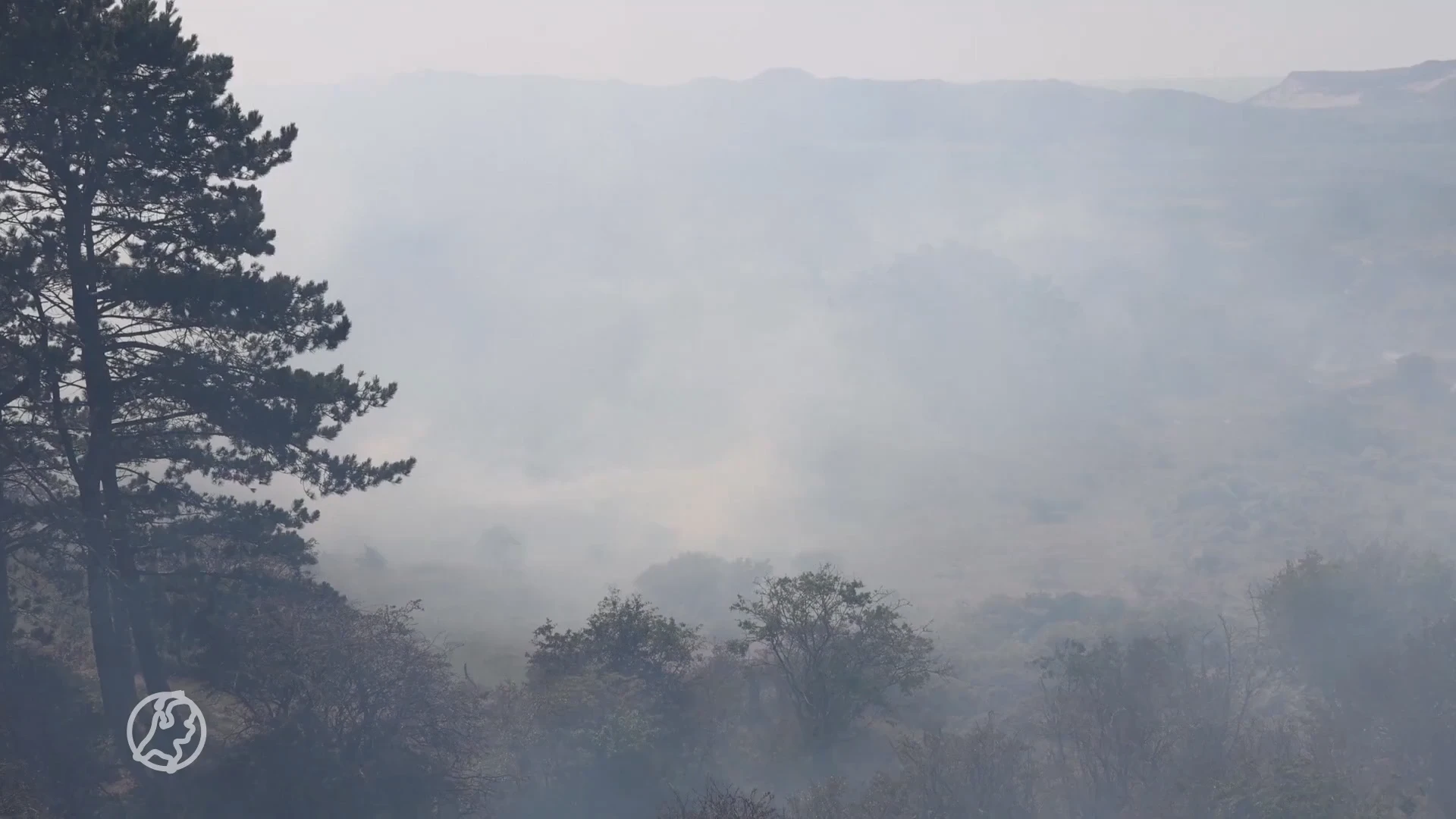 Grote duinbrand bij Wijk aan Zee