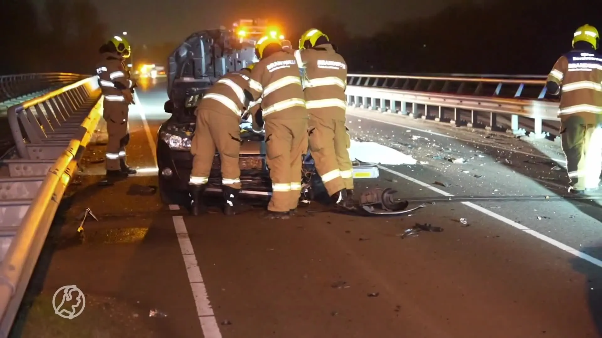 Paard overleden na frontale botsing met auto in Ressen