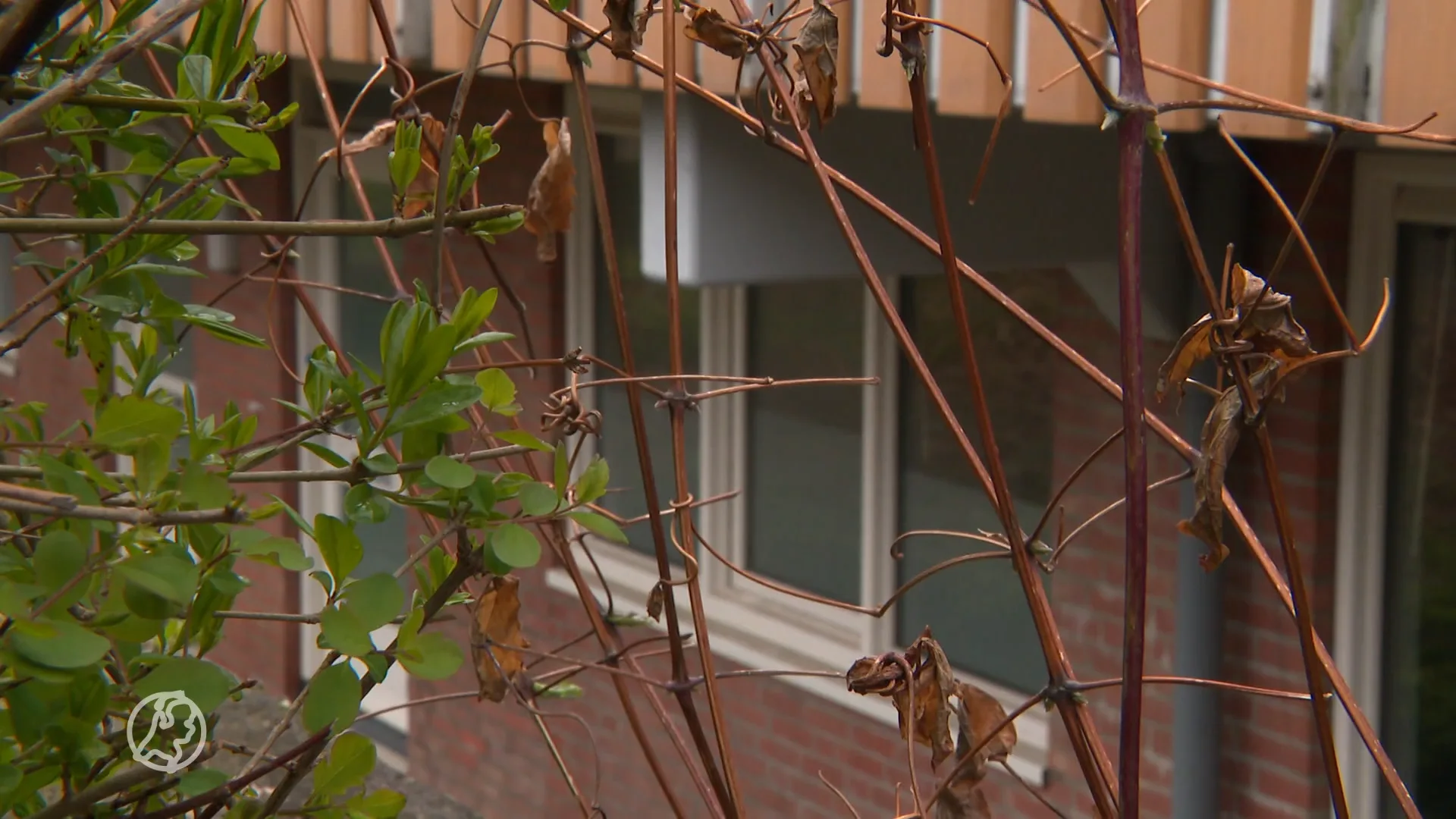 Fors meer overlast door illegale prostitutie in woonwijken