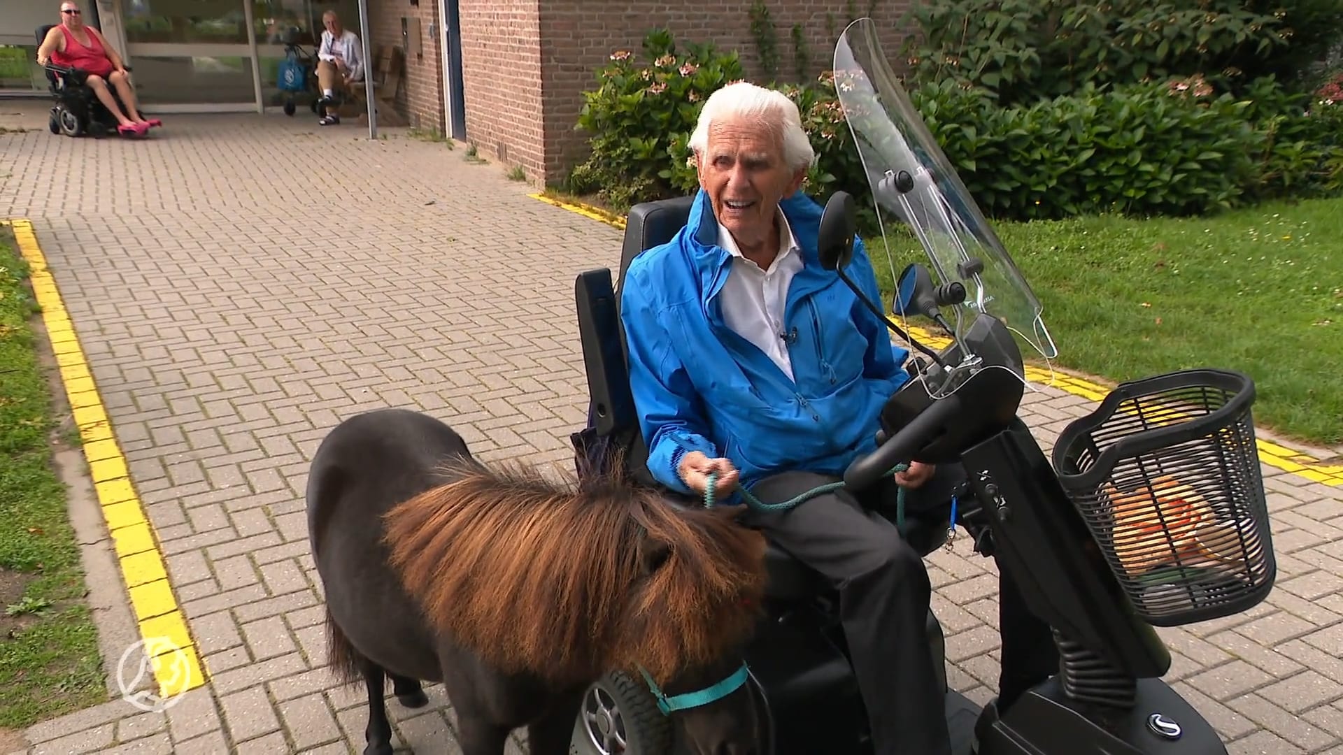 Abs (94) beste vriend is pony Jack: 'Ik houd van hem en hij van mij'
