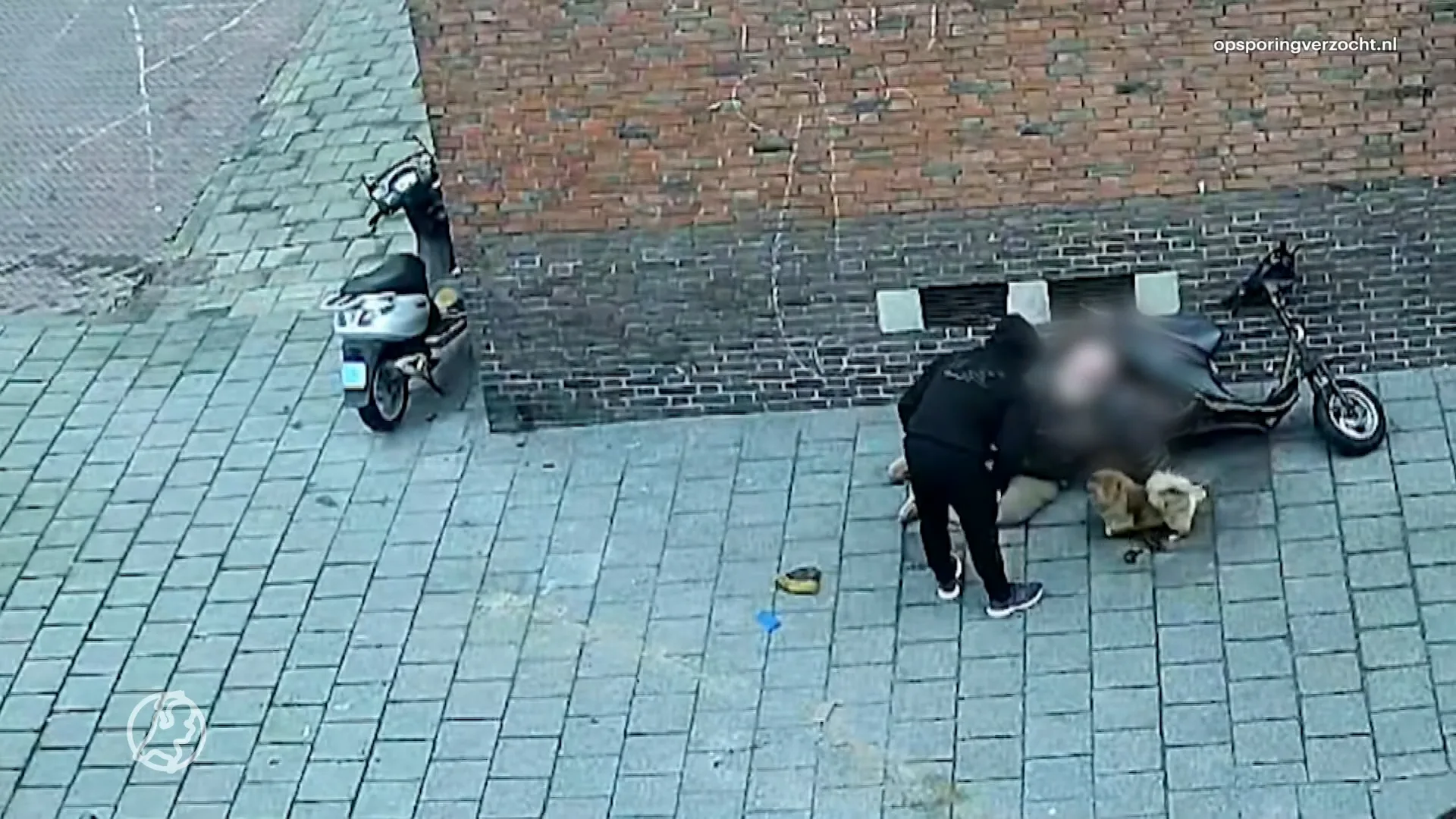 Vreselijke beelden: 79-jarige man die hond uitlaat slachtoffer van brute straatroof