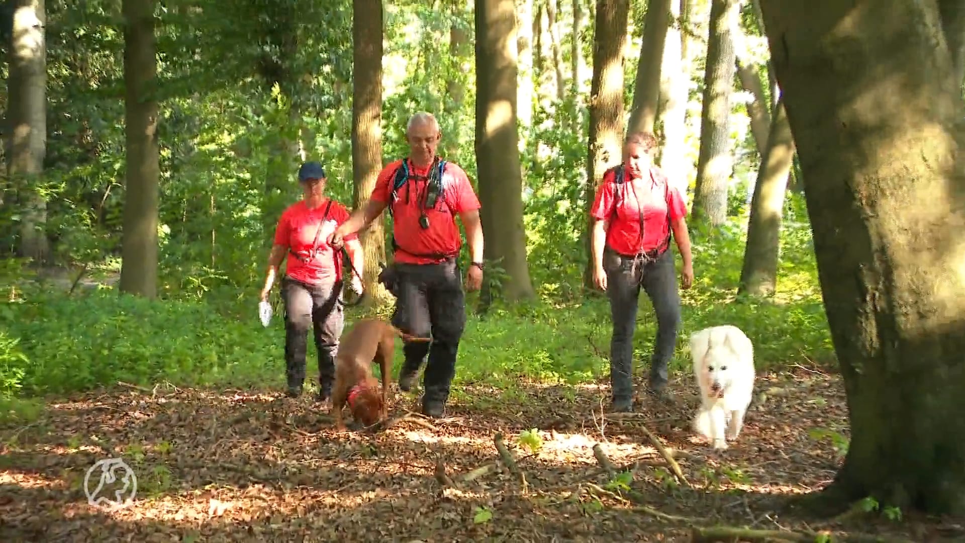 Verstandelijk beperkte Samed (33) nog altijd spoorloos: 'Het is een race tegen de klok'