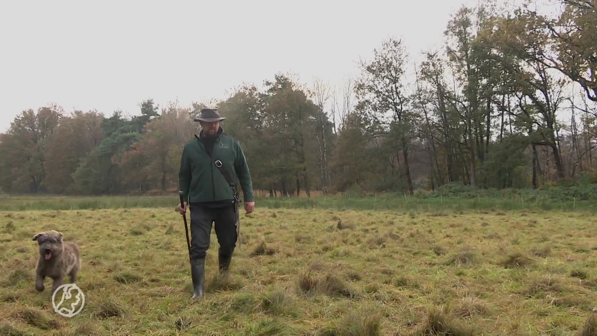 Grote zorgen bij herders om beëindiging subsidie