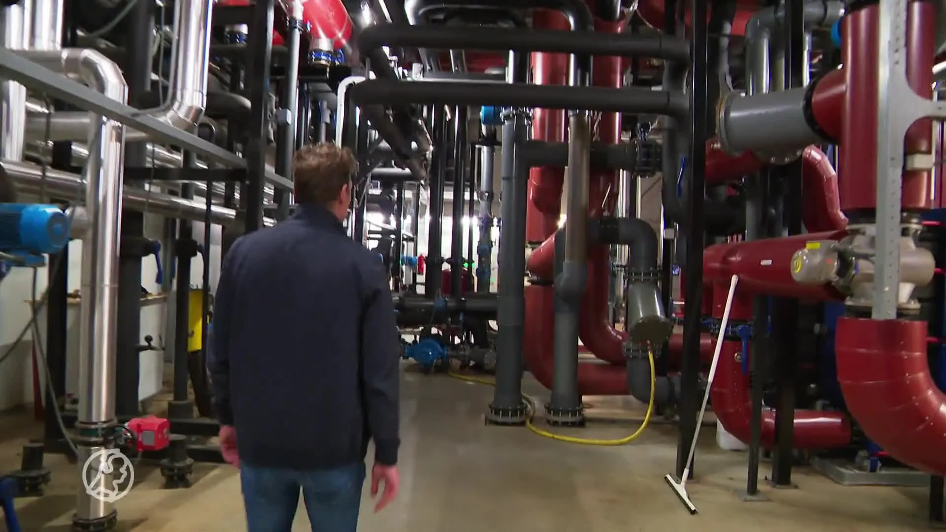 Glastuinders failliet door stijgende gasprijzen: 'Het is echt absurd'