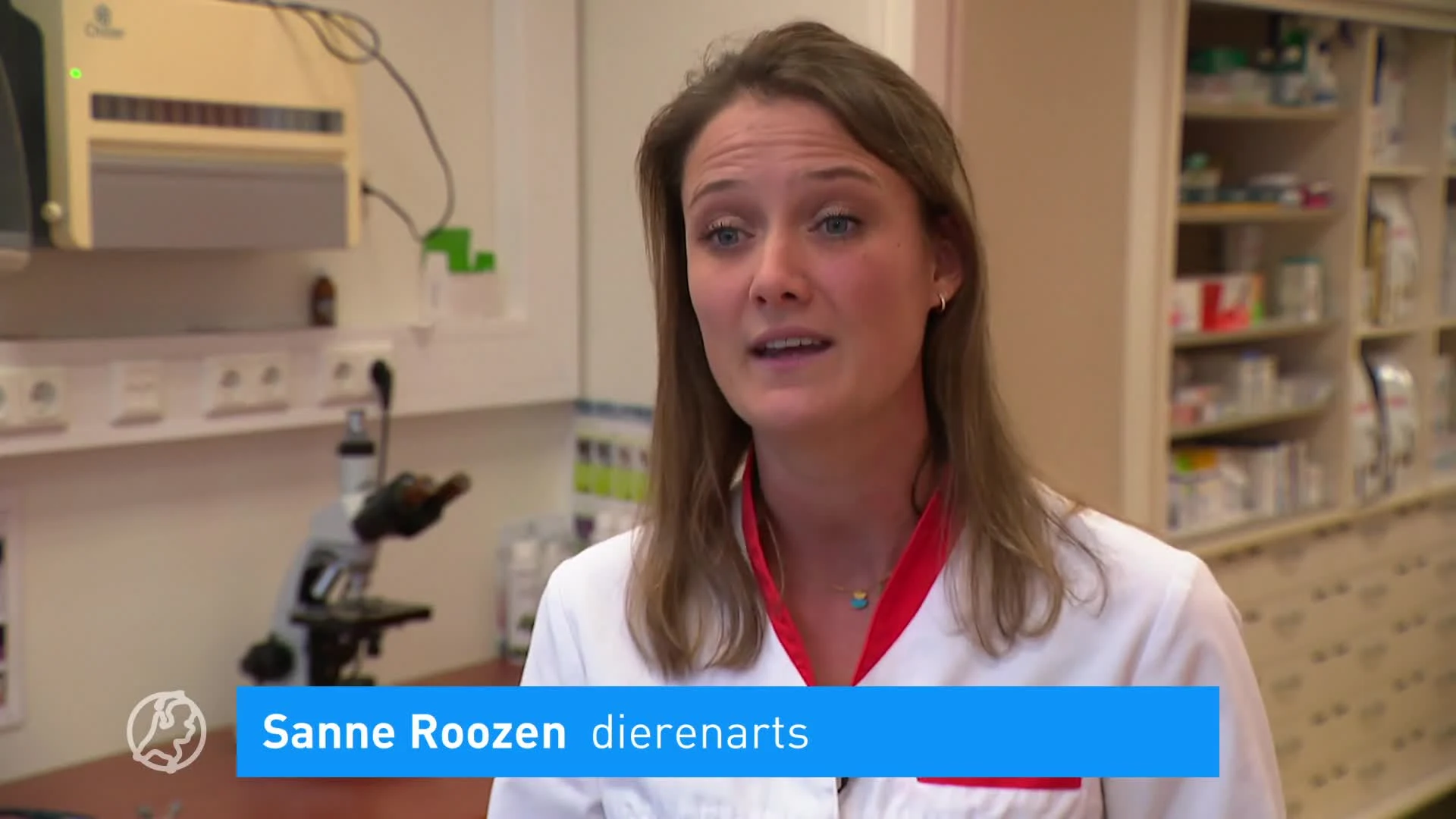 Puppy Luna bleek na aankoop ‘illegaal’ en werd in beslag genomen