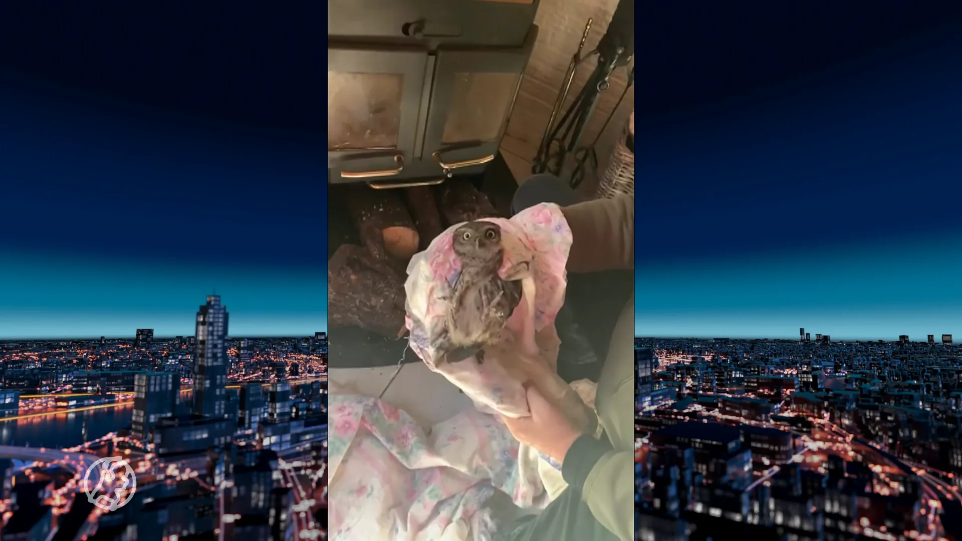 Heldhaftige Nico redt uiltje uit zijn brandende kachel