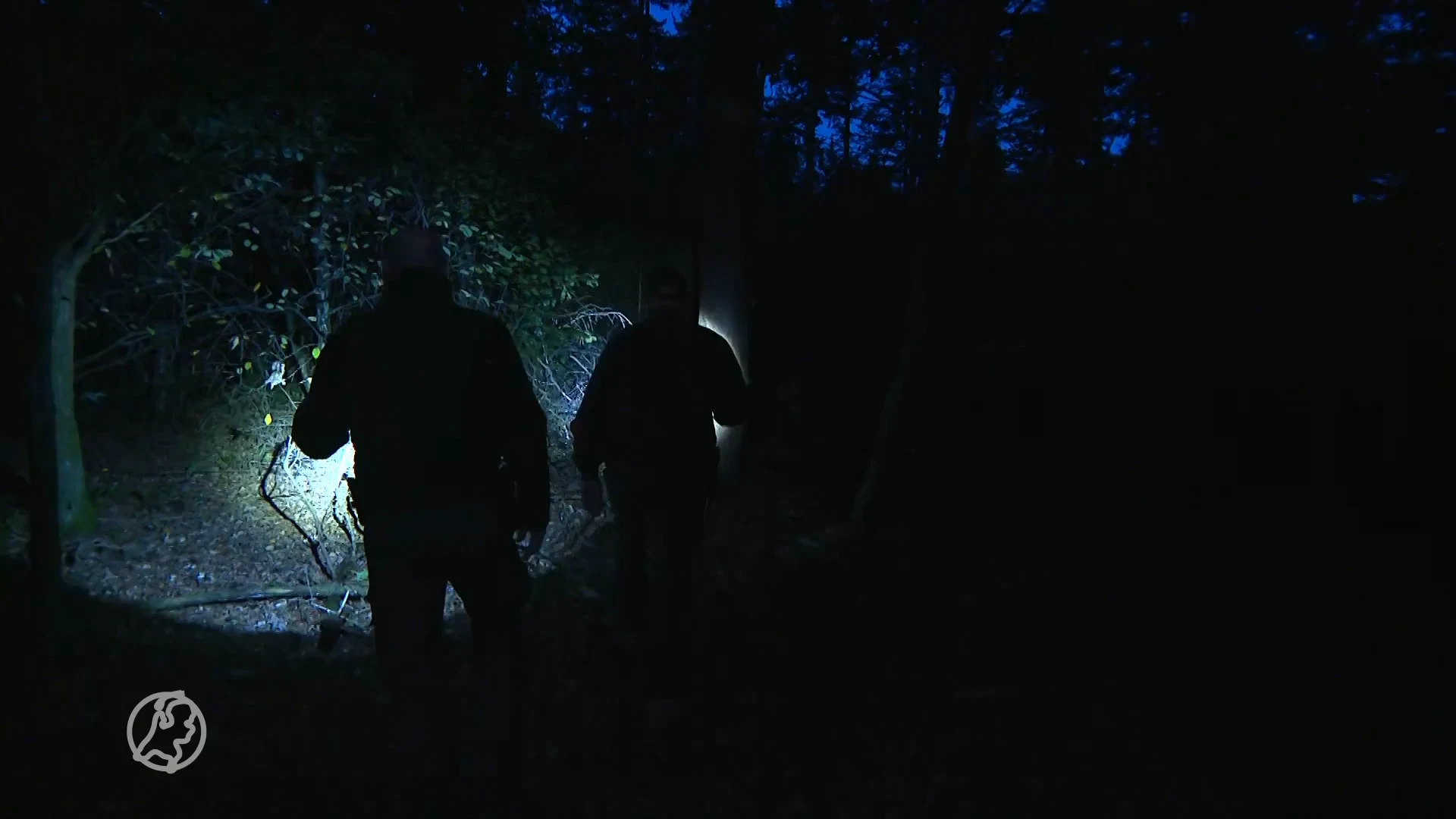 Steeds meer wildslapers brengen nacht door in het bos: 'Begint een dagtaak te worden'