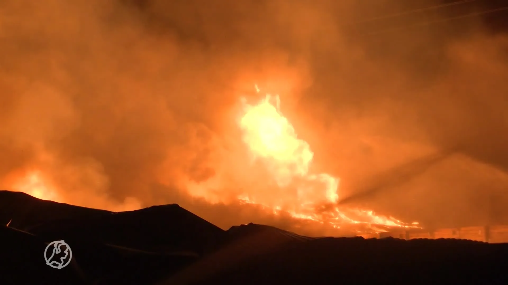 Brand verwoest twee schuren bij fruitbedrijf in Kapelle