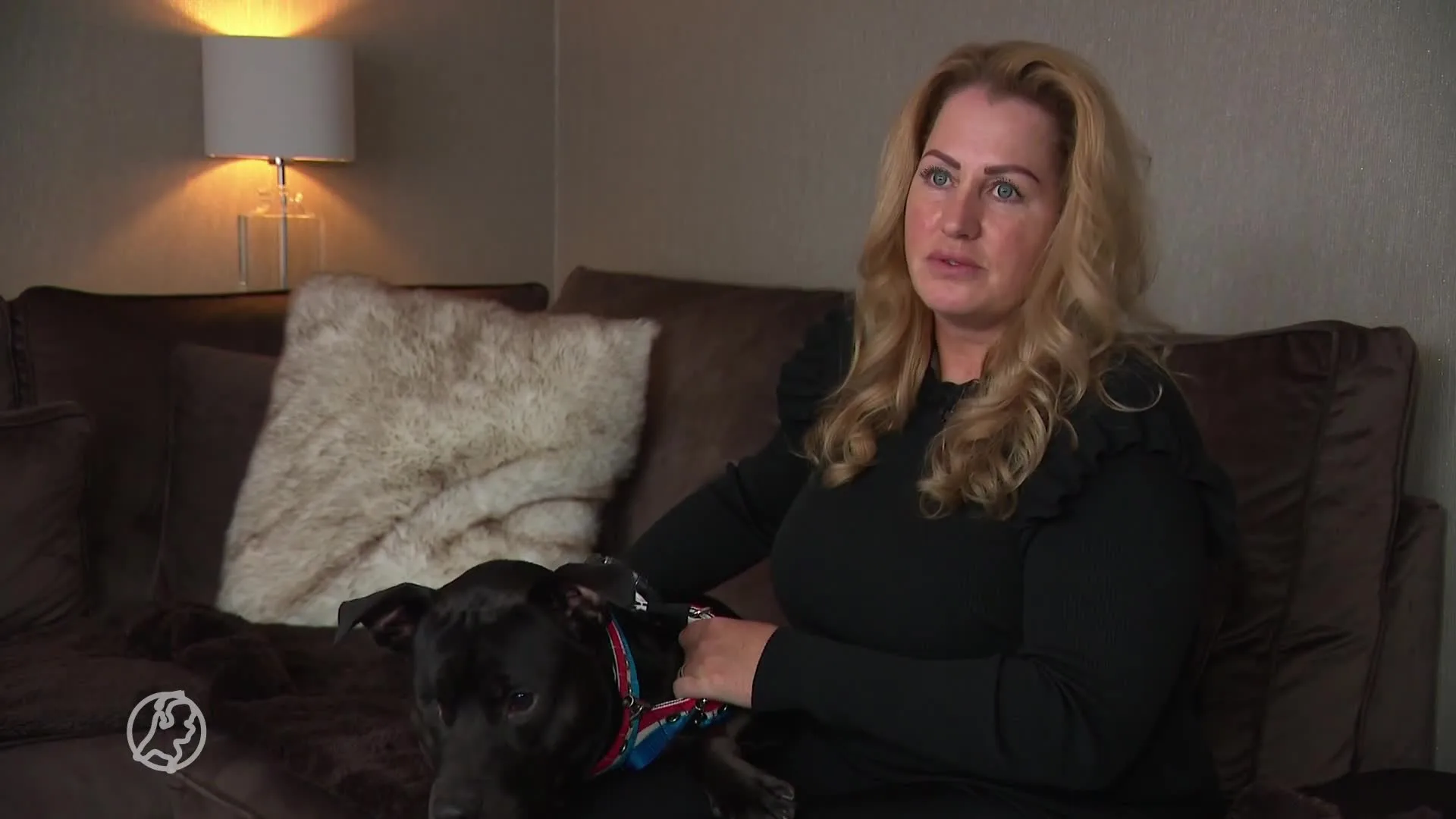 Opnieuw onderzoek naar mishandeling hond Tommy met taser