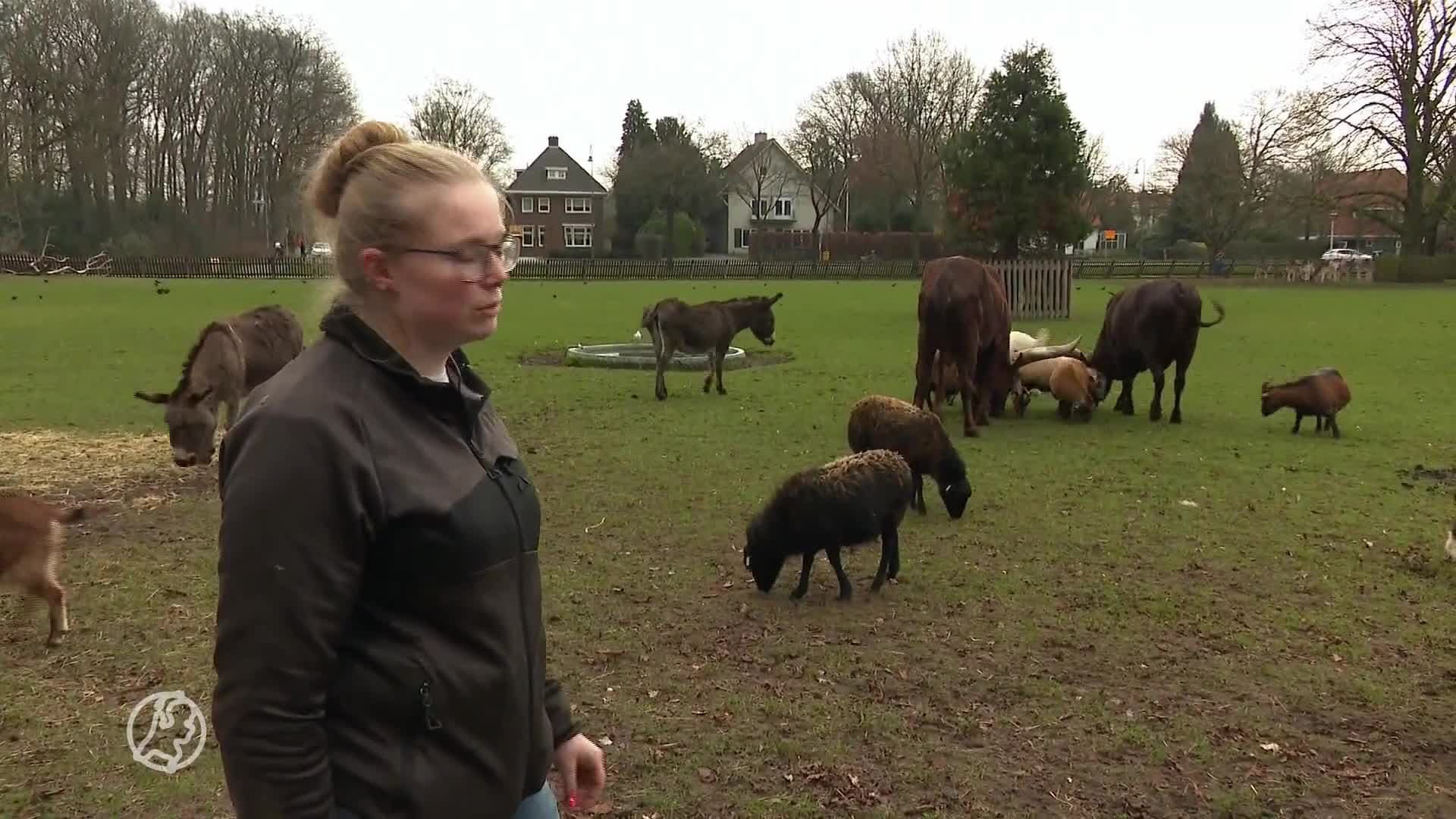 Dierenparken nemen maatregelen: 'Bezoekers dumpen hele nasischotels hier'