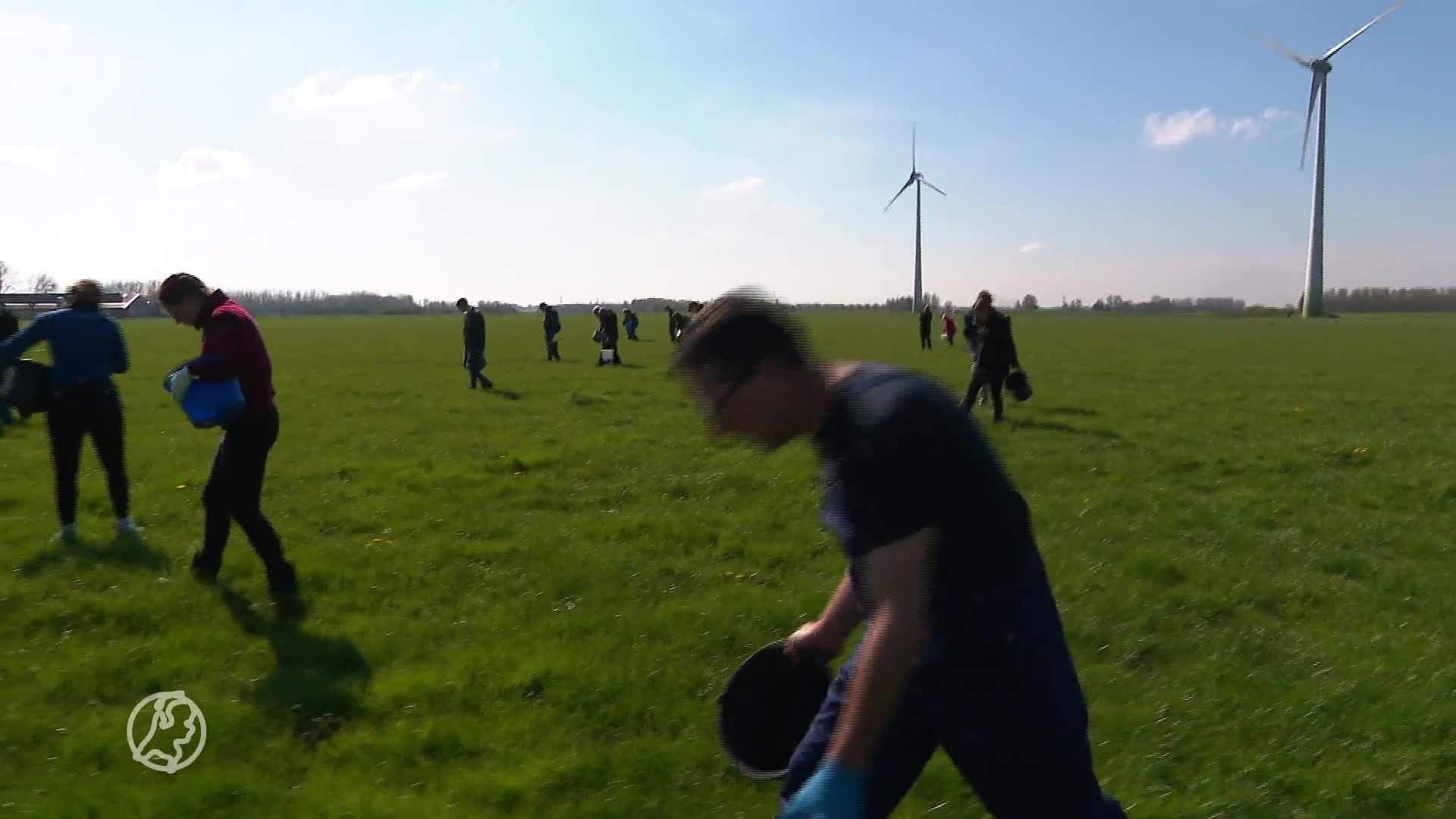 Zoeken naar gevaarlijke glasdeeltjes in het weiland na grote brand Etten-Leur