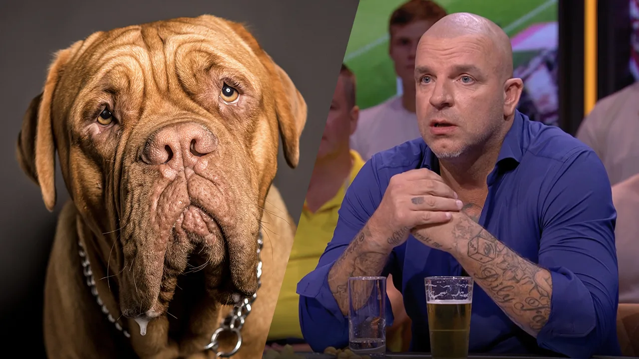 Andy moest losgeld betalen om zijn hond terug te krijgen van ontvoerders