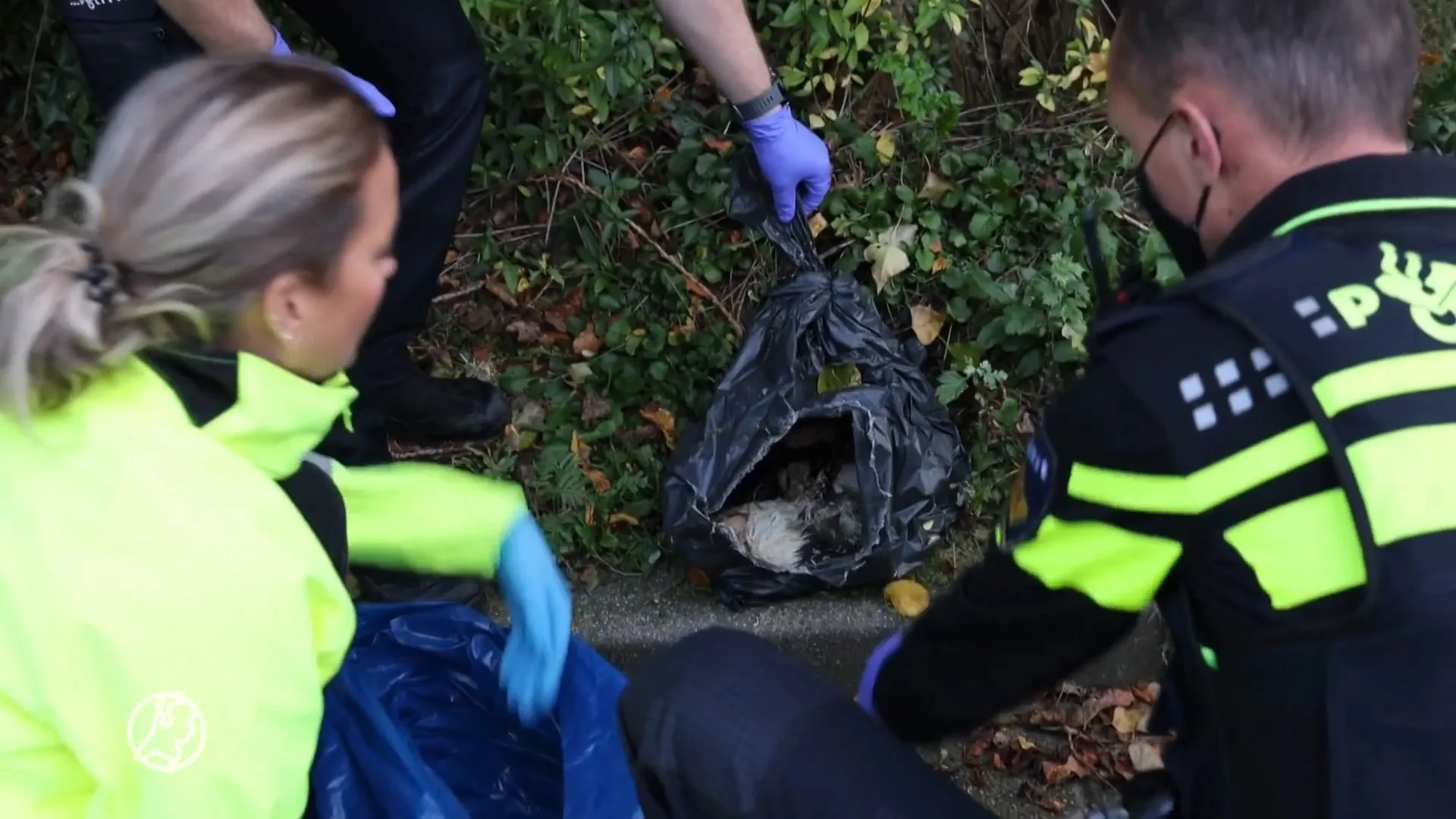 Zakken met verdronken kittens gevonden, vinders Yasha en Elise trillen van angst