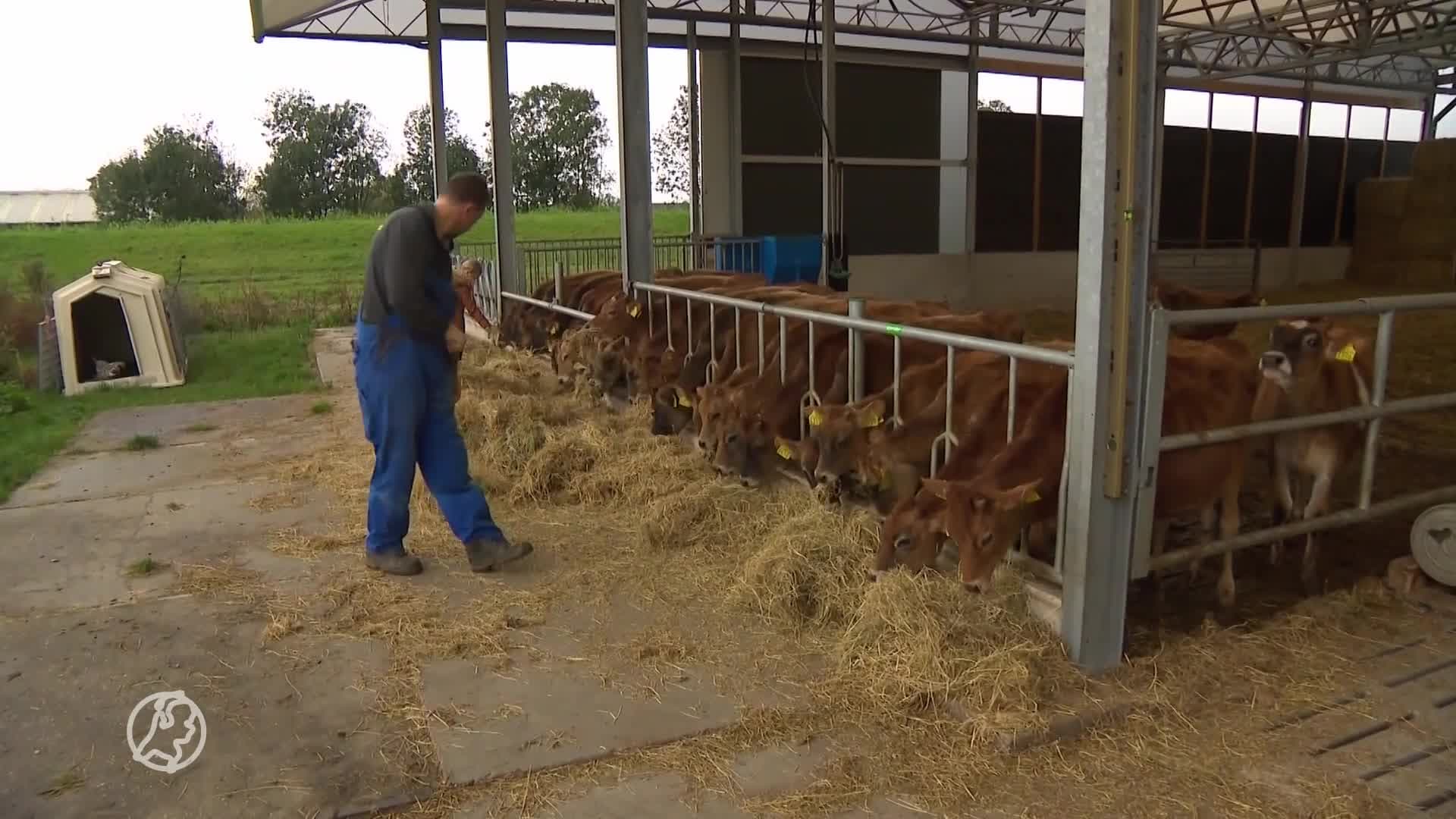 Dorpsbewoners verbouwen eigen groente, gemeente steekt er een stokje voor