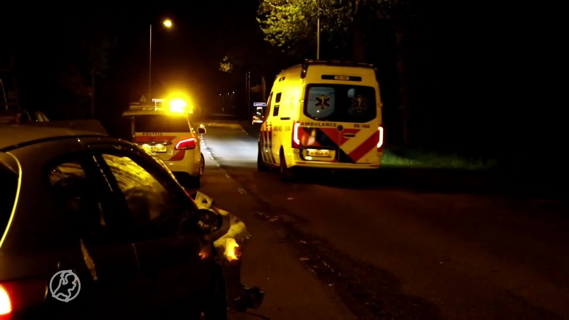 Automobilist veroorzaakt een puinhoop na crash in Losser